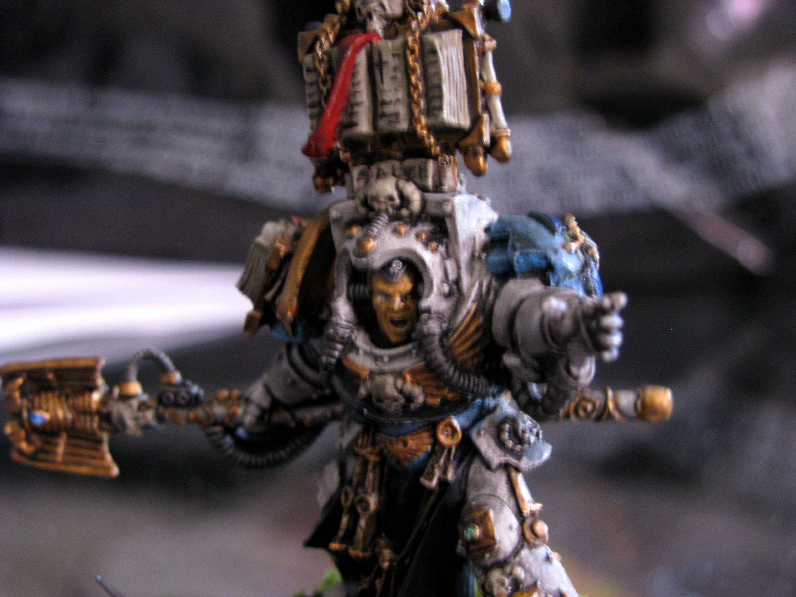 chief libraian 