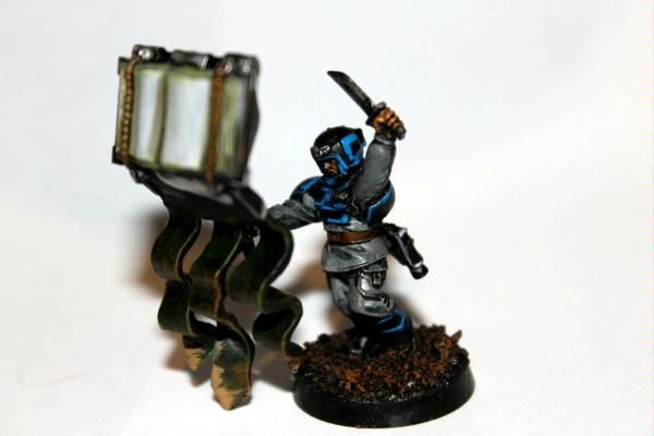 Ccs, Imperial Guard, Regimental standard bearer