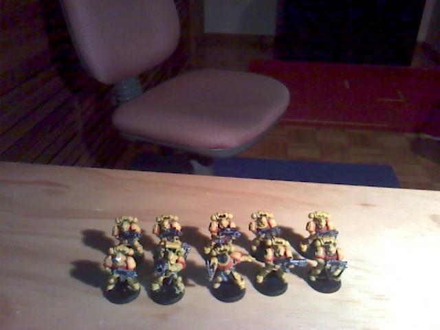 Imperial Fists Tactical Squad