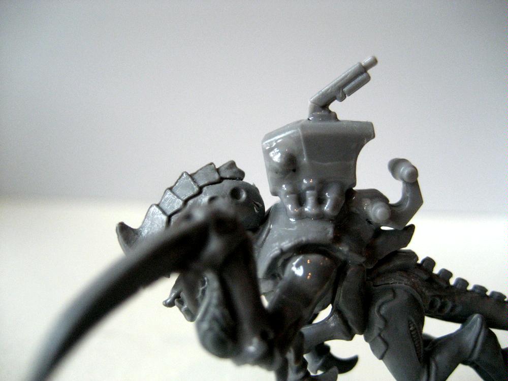 Alies, Army, Conversion, Kroot, Tau, Tyranids, Warhammer 40,000