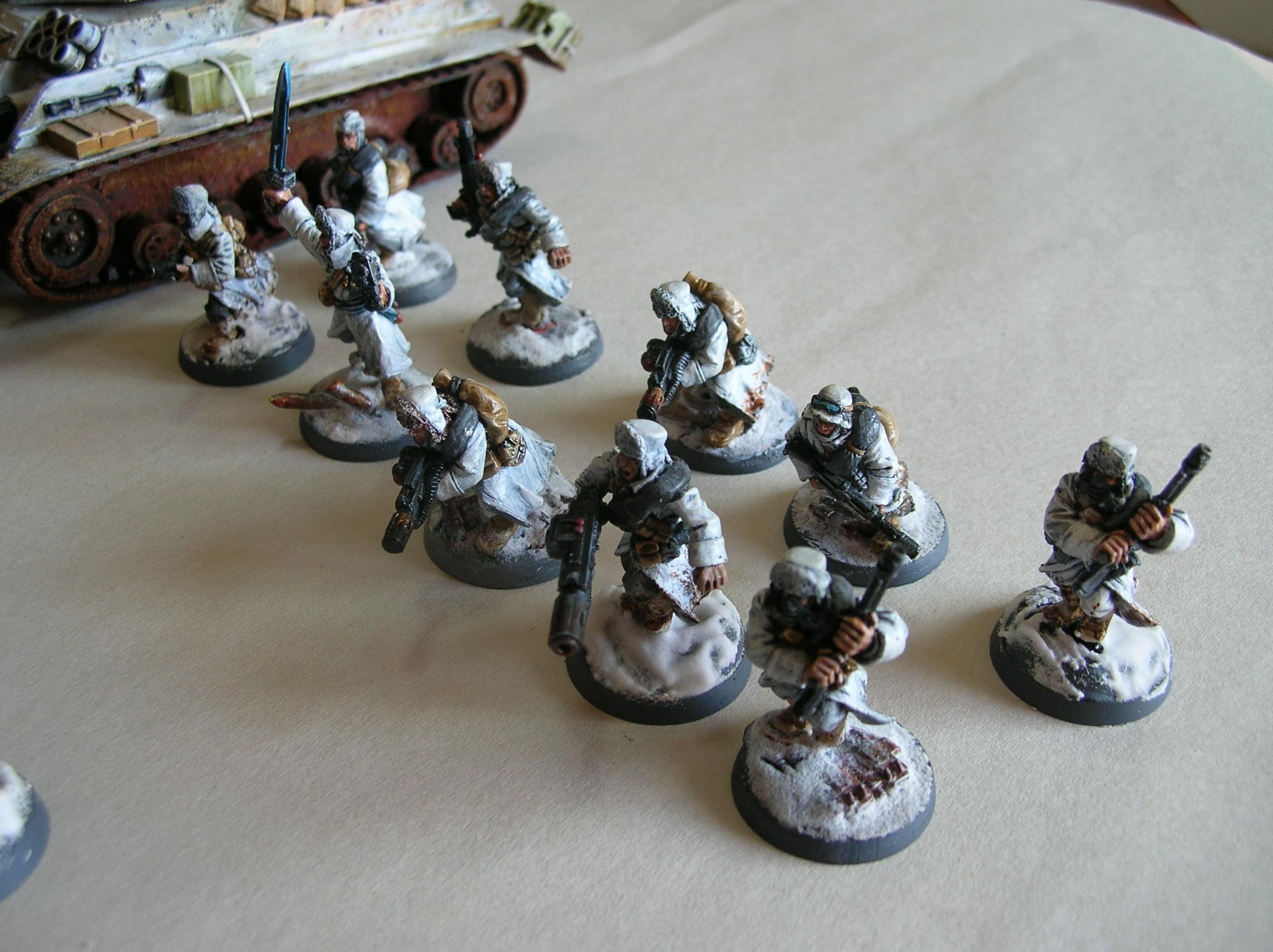 Imperial Guard, Infantry, Snowfail, Valhallans