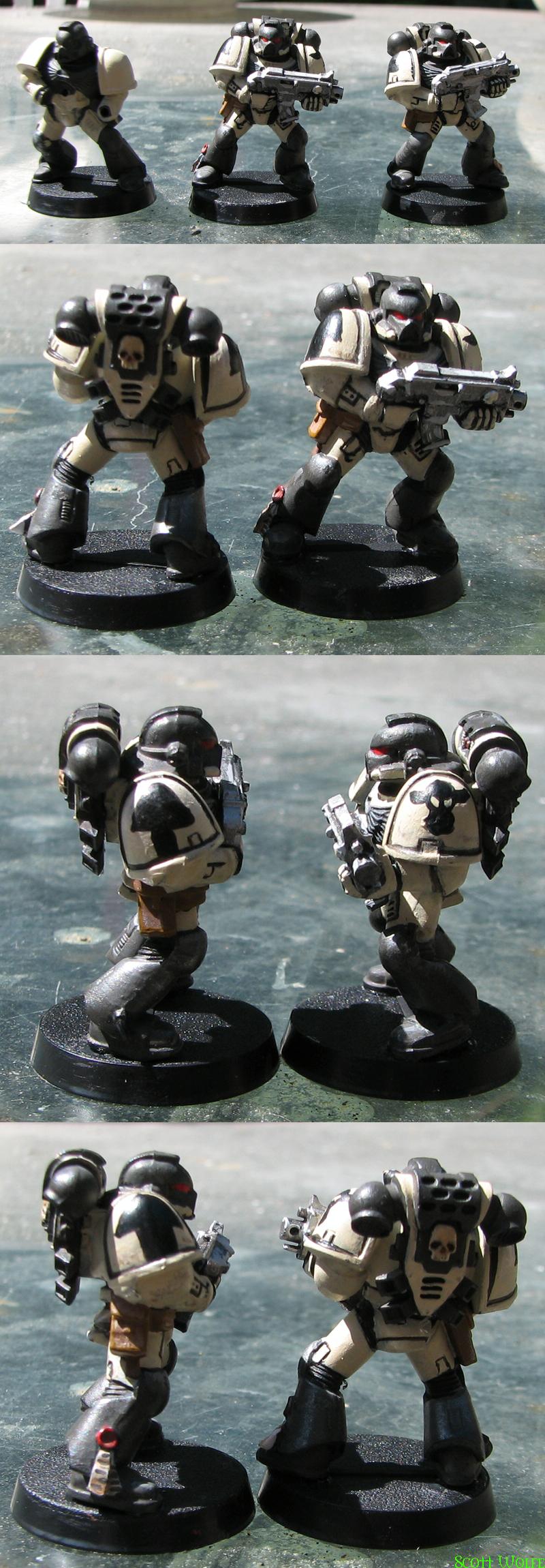 Incomplete, Space Marines, Tactical Squad, Tauran, Watchdragon, Work In Progress