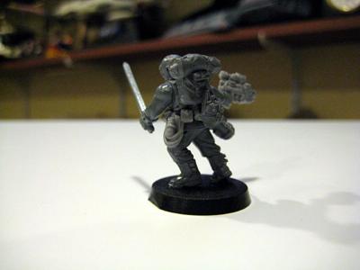 Gryphonne, Imperial Guard