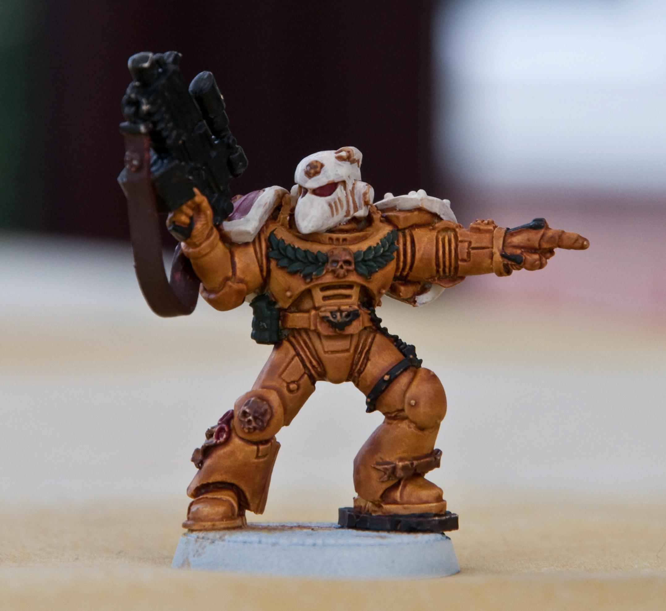 Sternie WIP 3