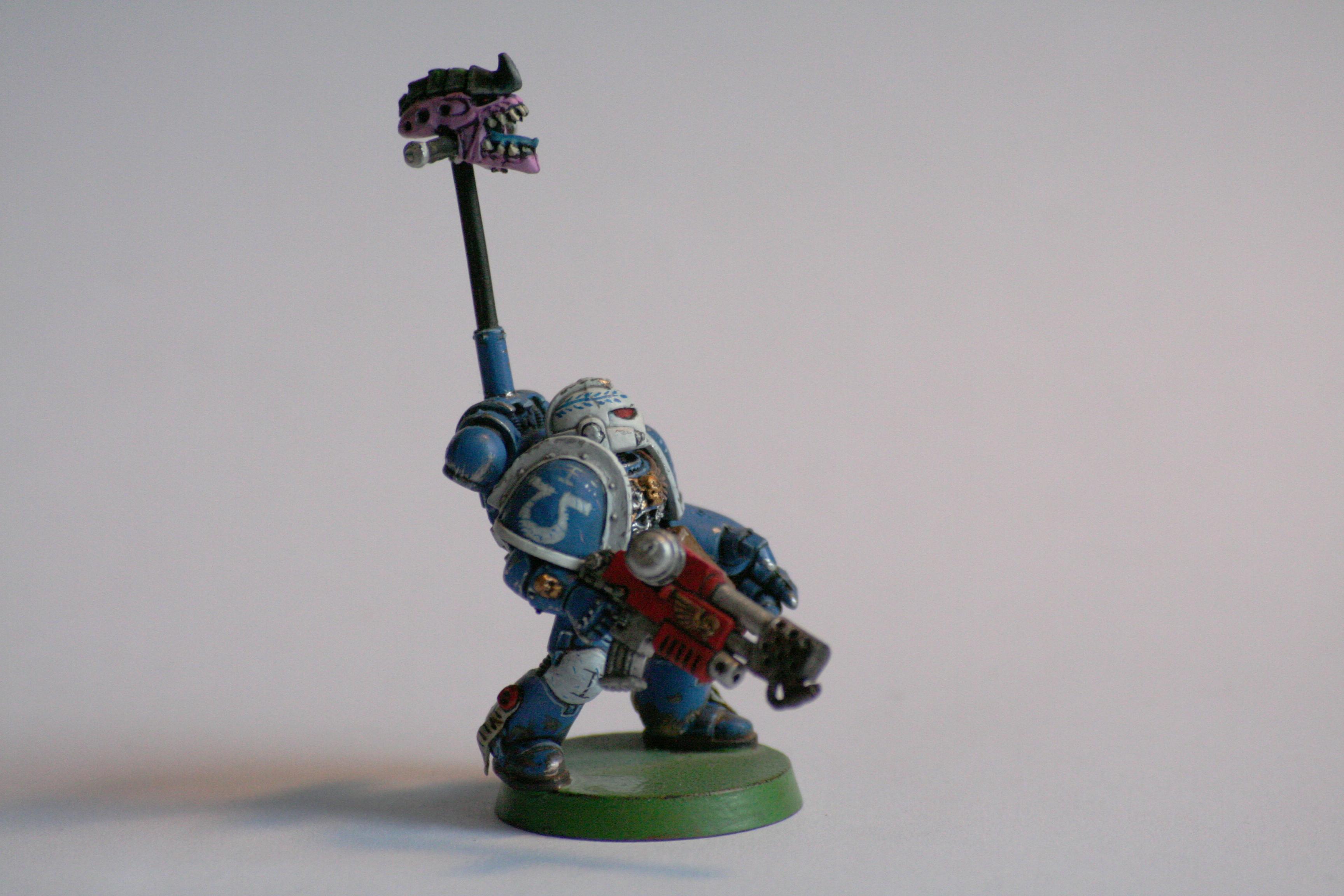 Ultramarines, Sternguard Sergeant 1.1