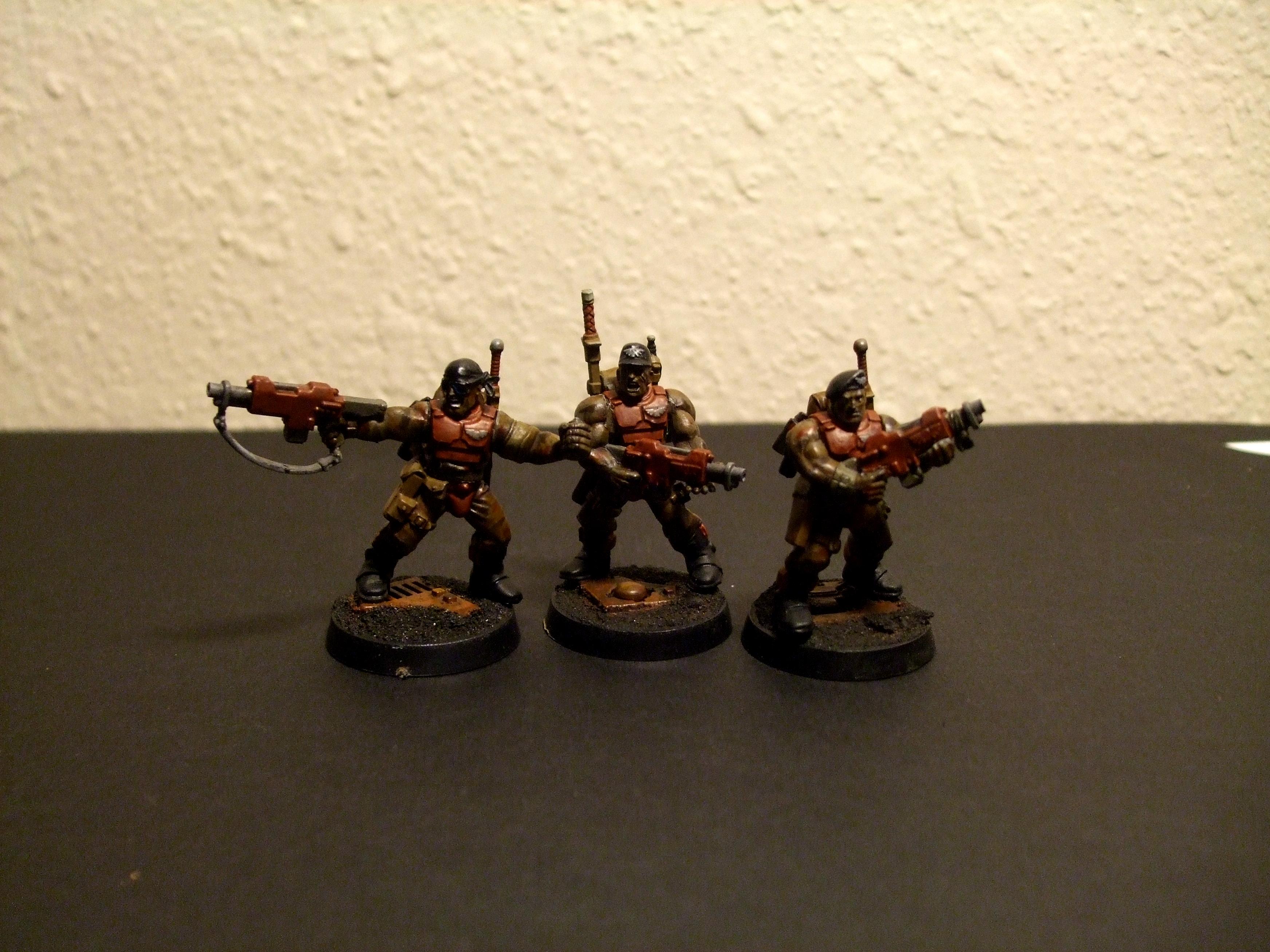 Imperial Guard, Veteran