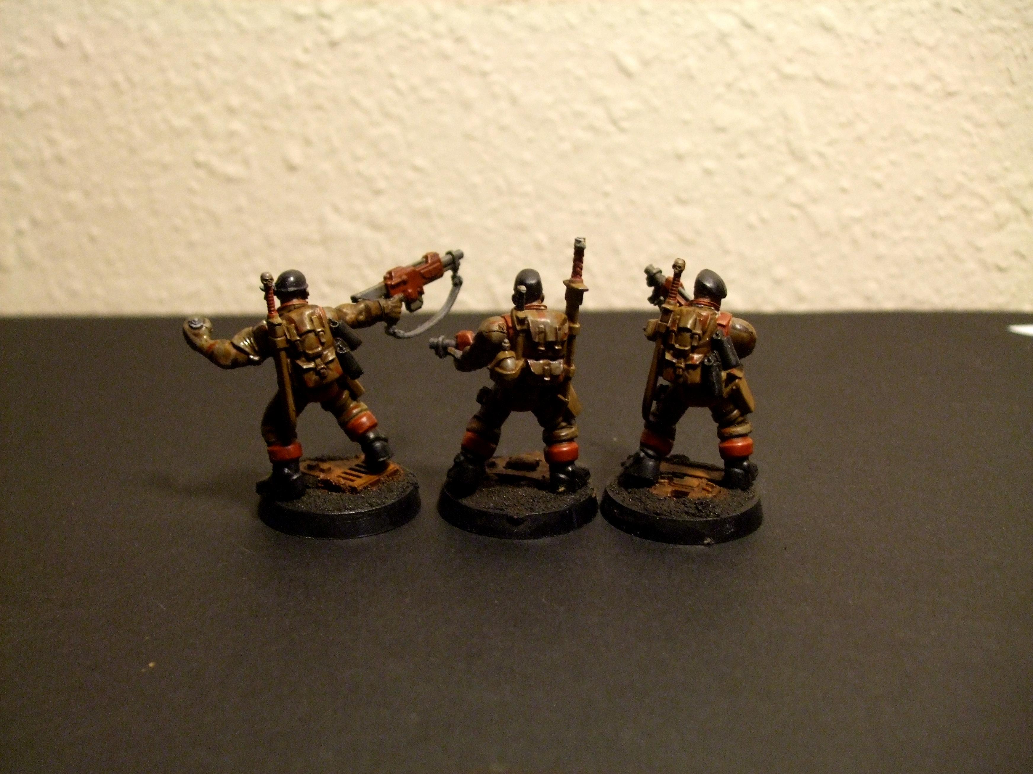 Imperial Guard, Veteran