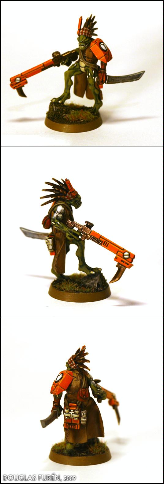 Hunter Cadre, Kroot, Sept, Tau, Tau Empire