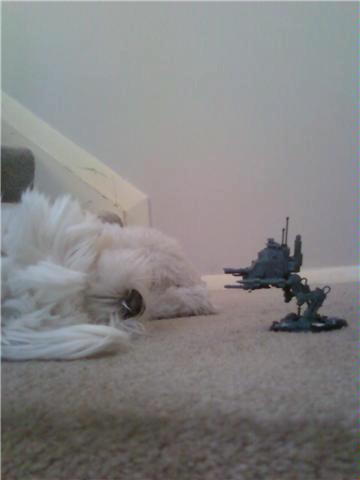 Humor, Imperial Guard, Warhammer 40,000