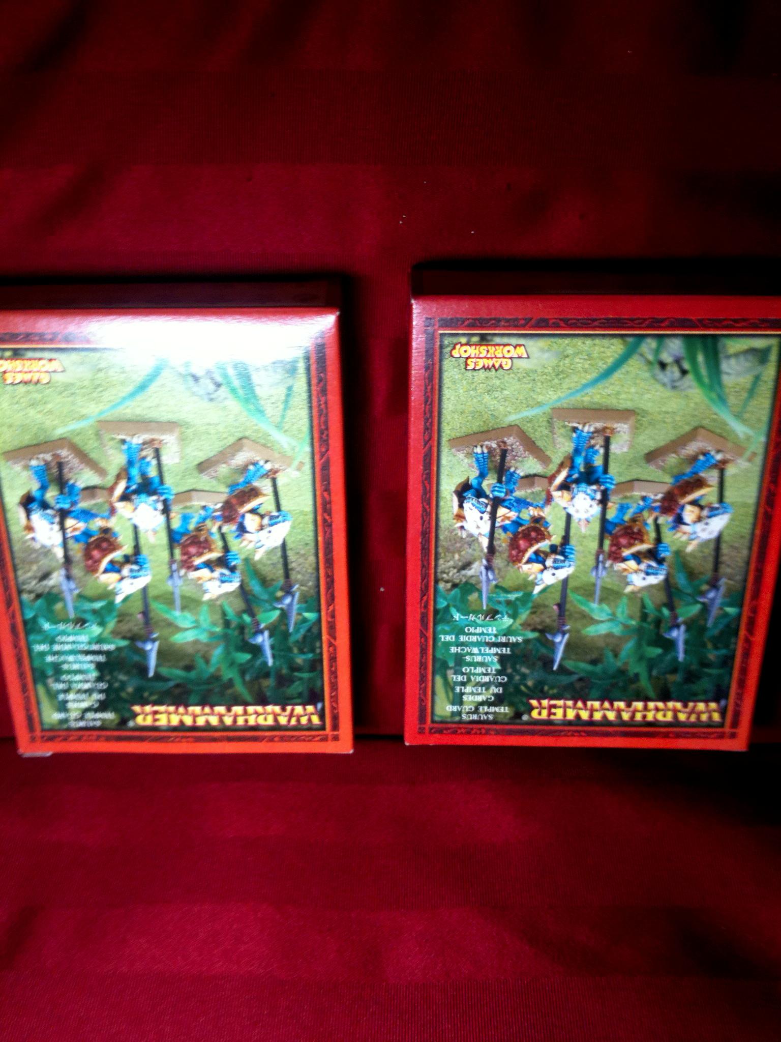 Lizardmen Warriors