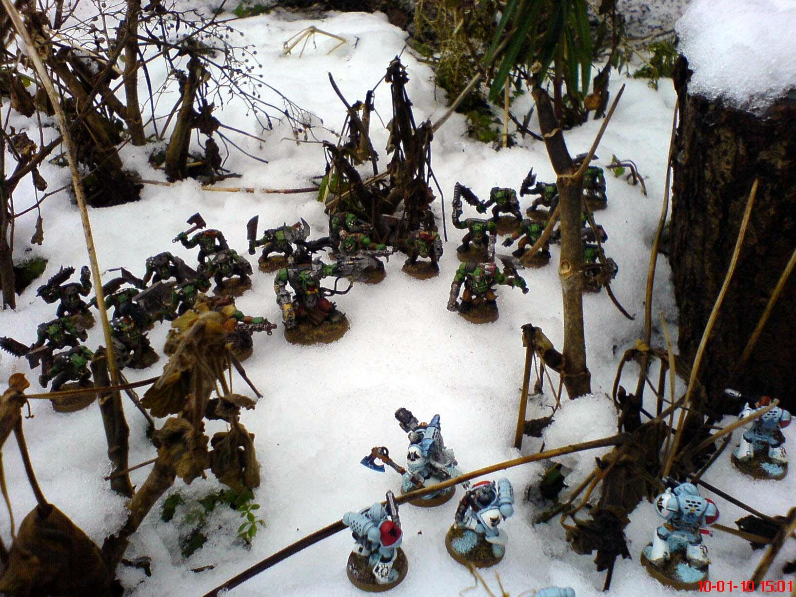 Orks, Snow, Space Wolves