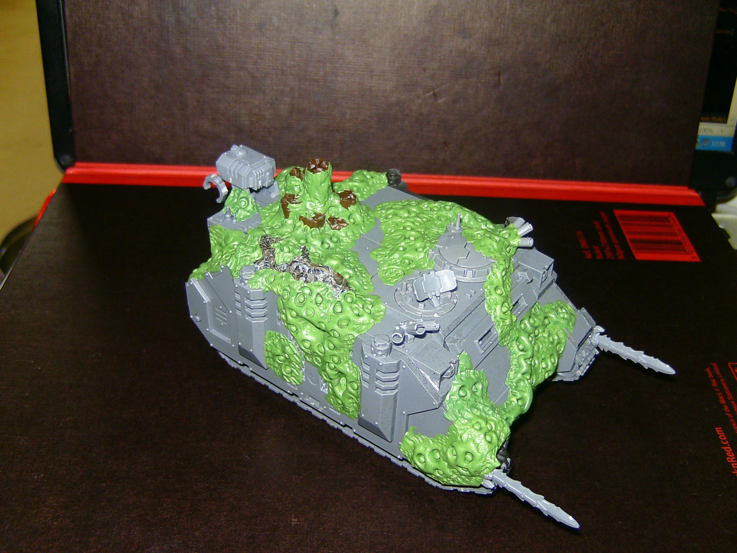 Rhino 1