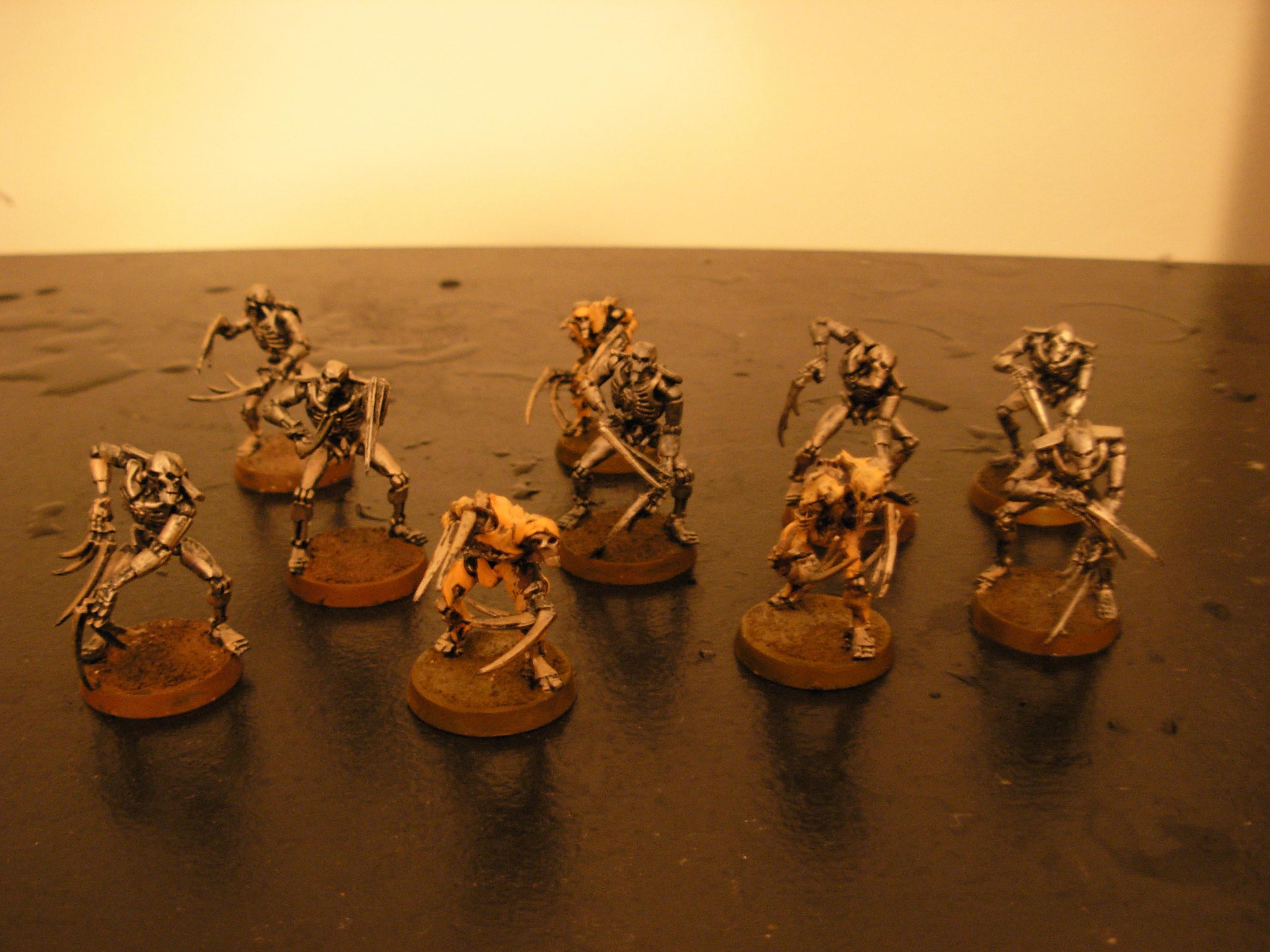 Flayed Ones, Necrons