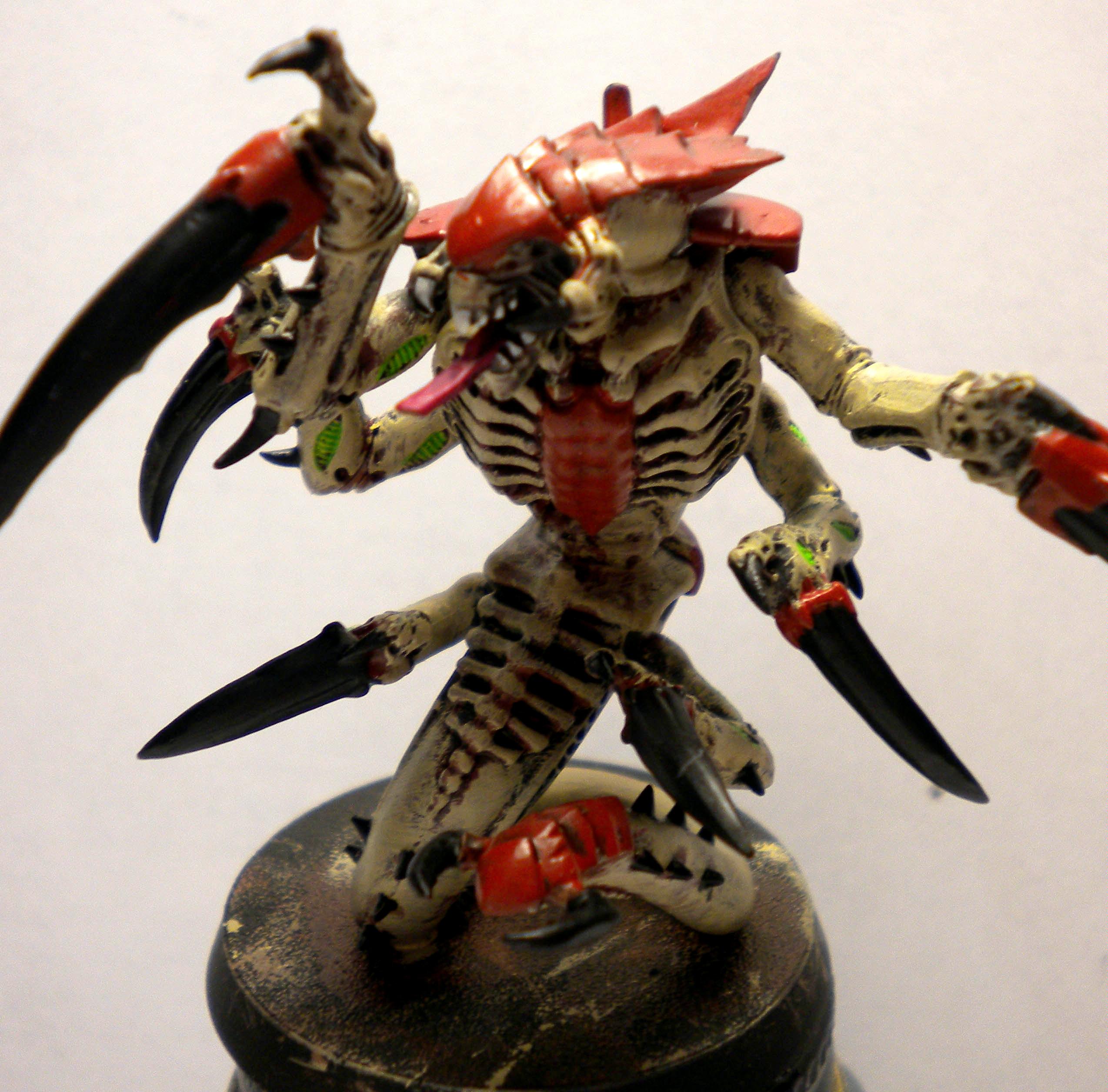 Dtiberius Queen Of The Hive