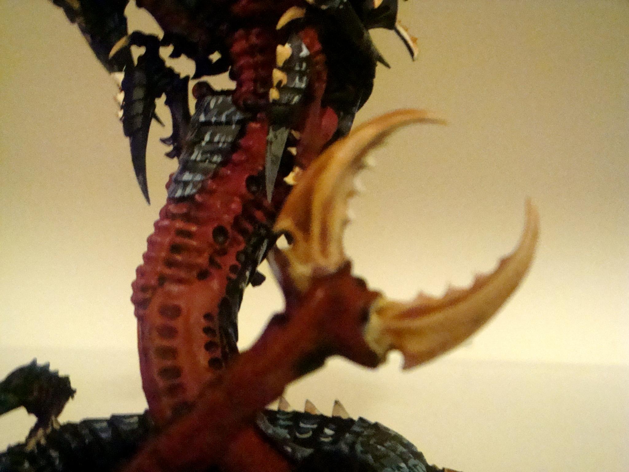 Tail