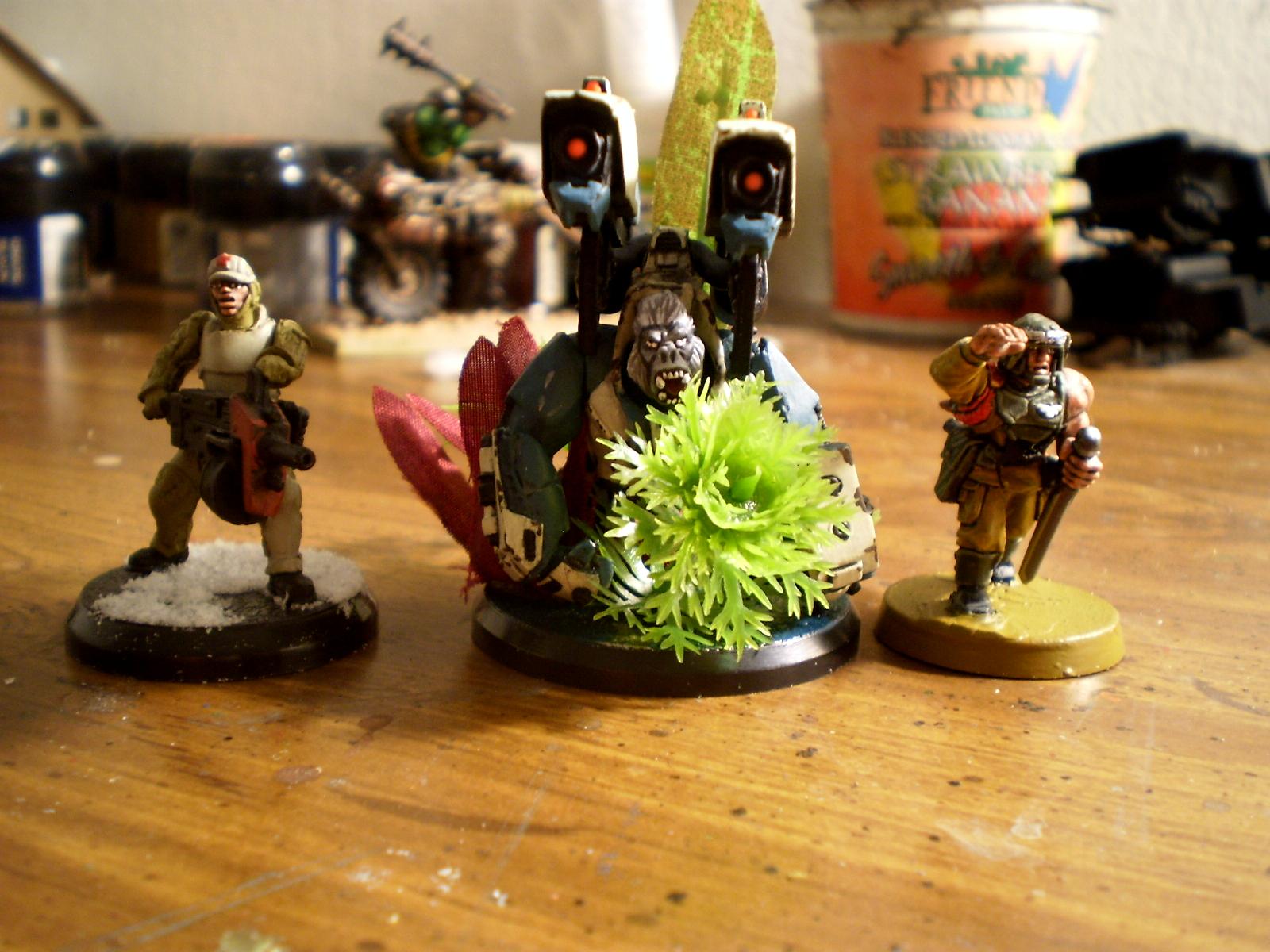 AT-43, Base, Cadians, Games Workshop, Imperial Guard, Jungle, Karmans, Khador, Man-o-war, Rackham, Red Blok, Warmachine