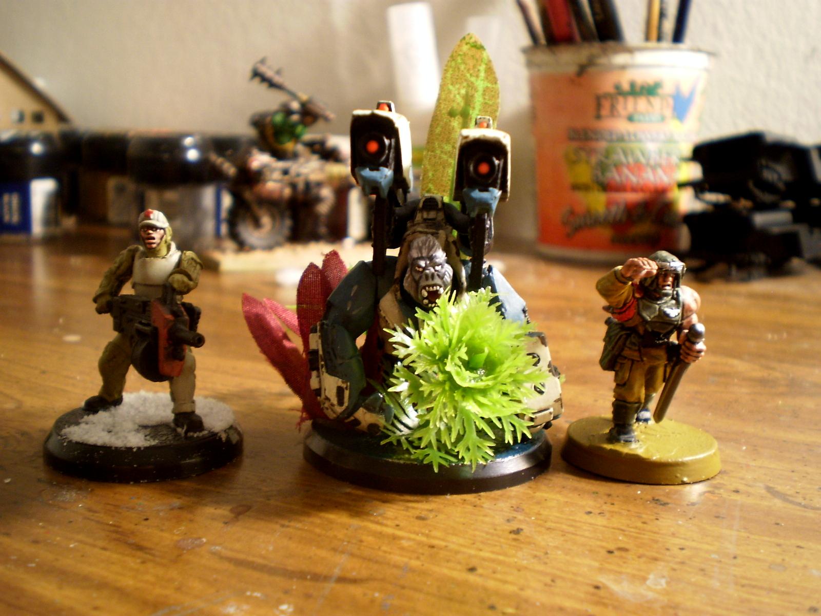AT-43, Base, Cadians, Games Workshop, Imperial Guard, Jungle, Karmans, Khador, Man-o-war, Rackham, Red Blok, Warmachine