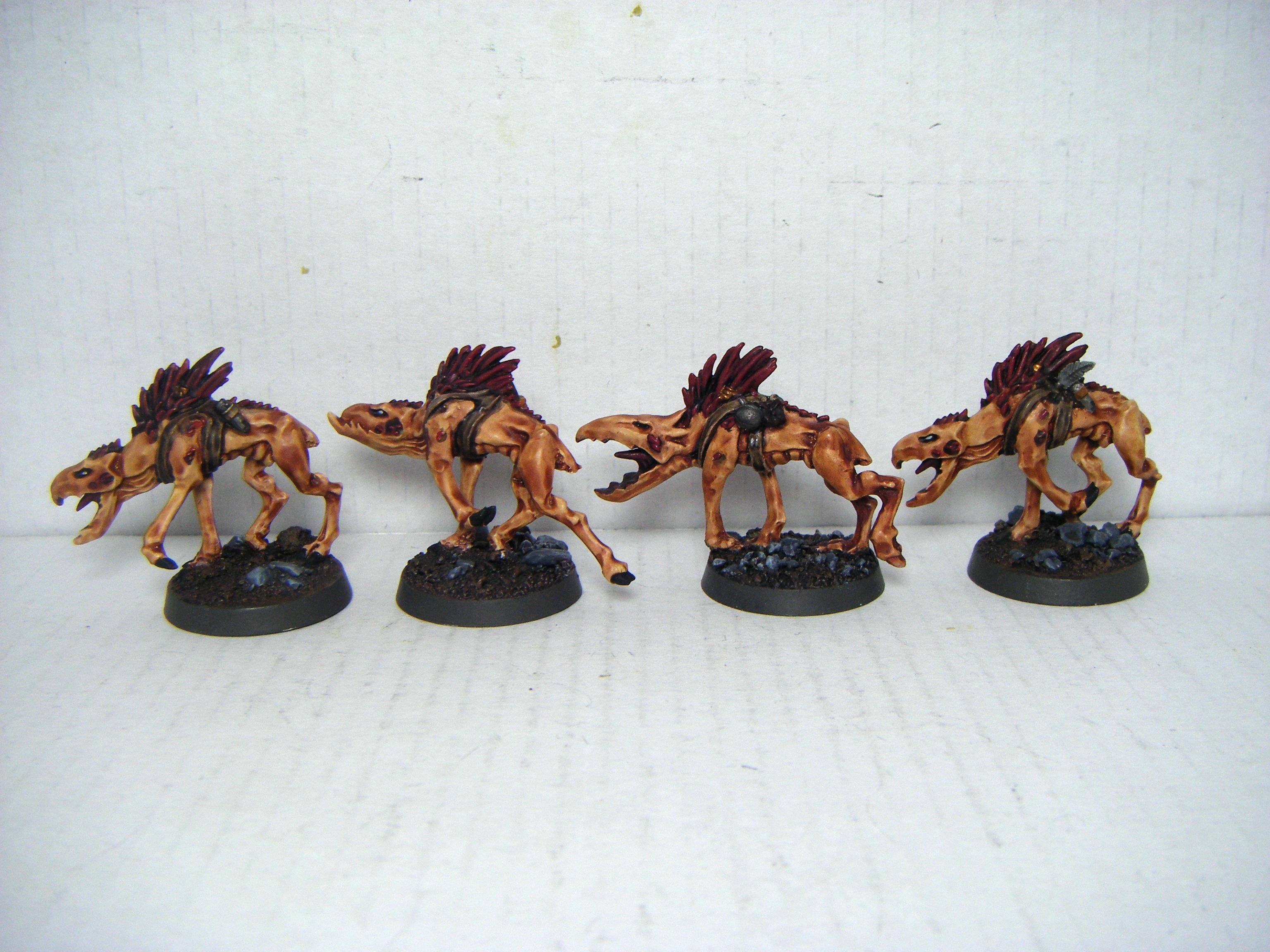 Kroot, Kroot Hound, Tau