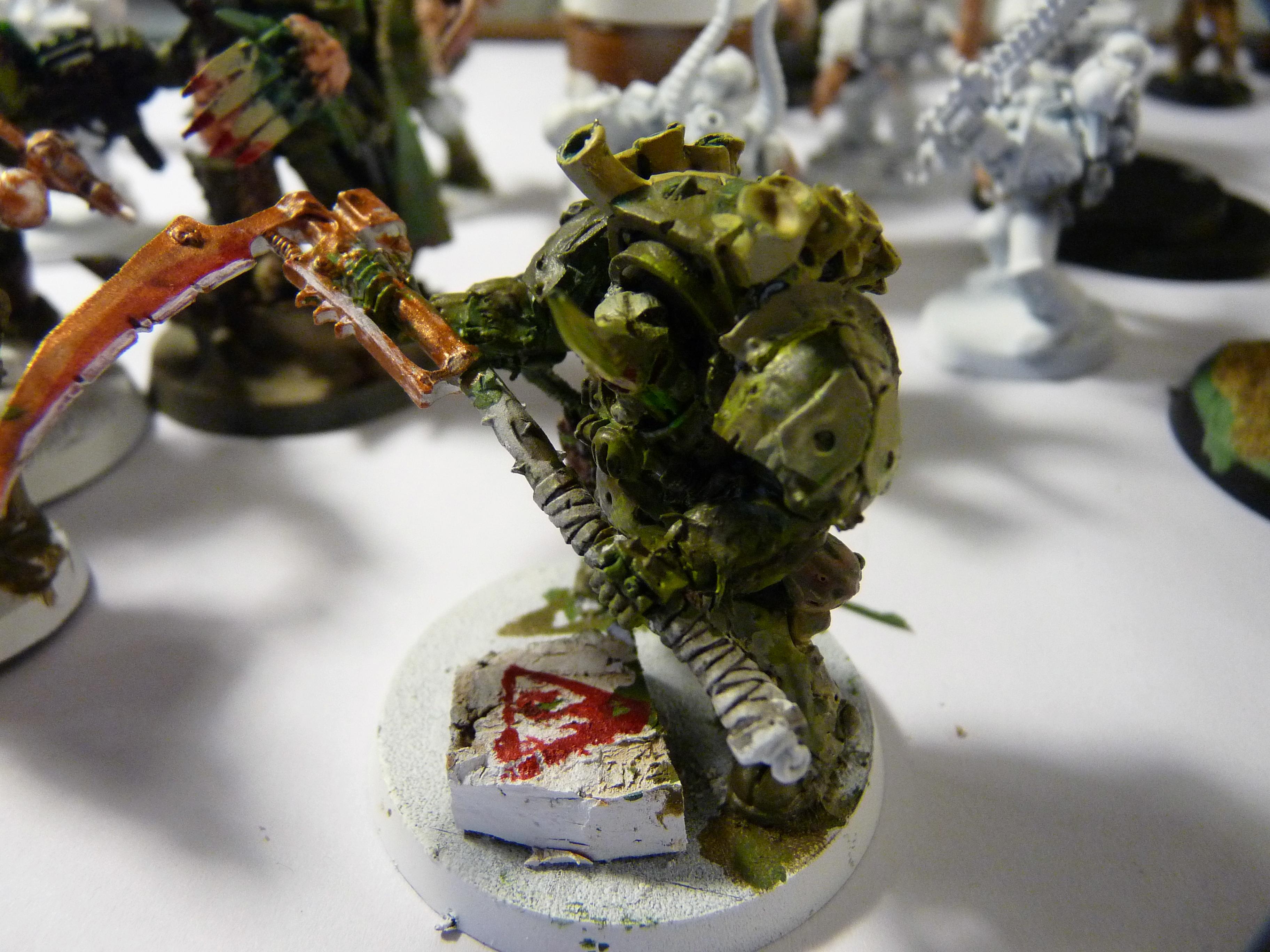 Typhus 2
