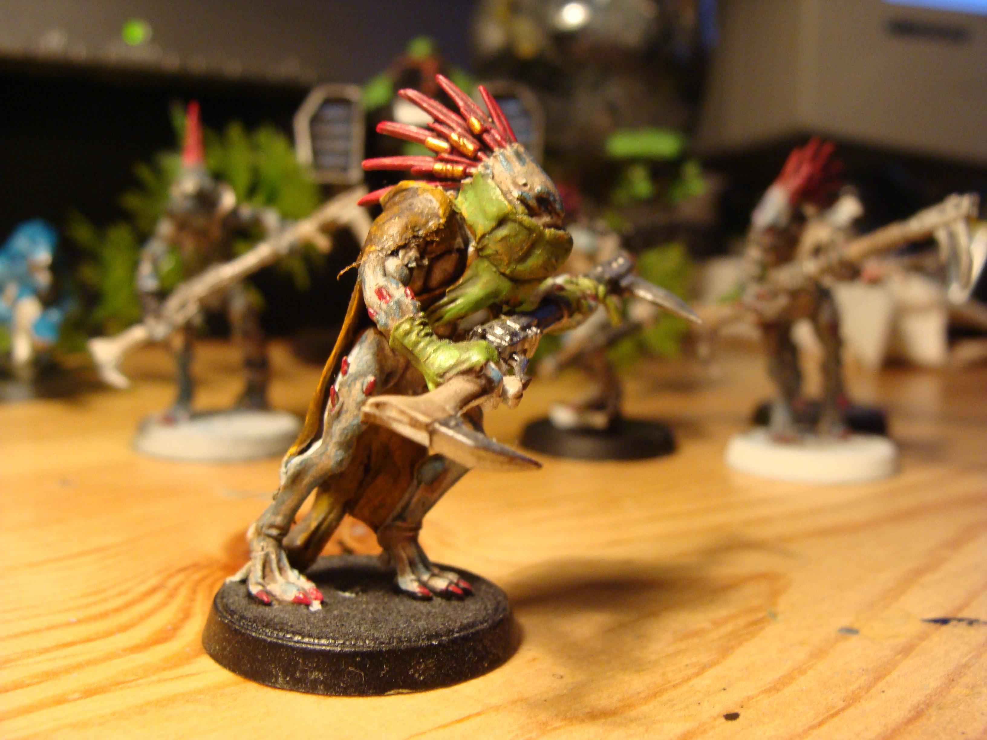 Another kroot, C&C?