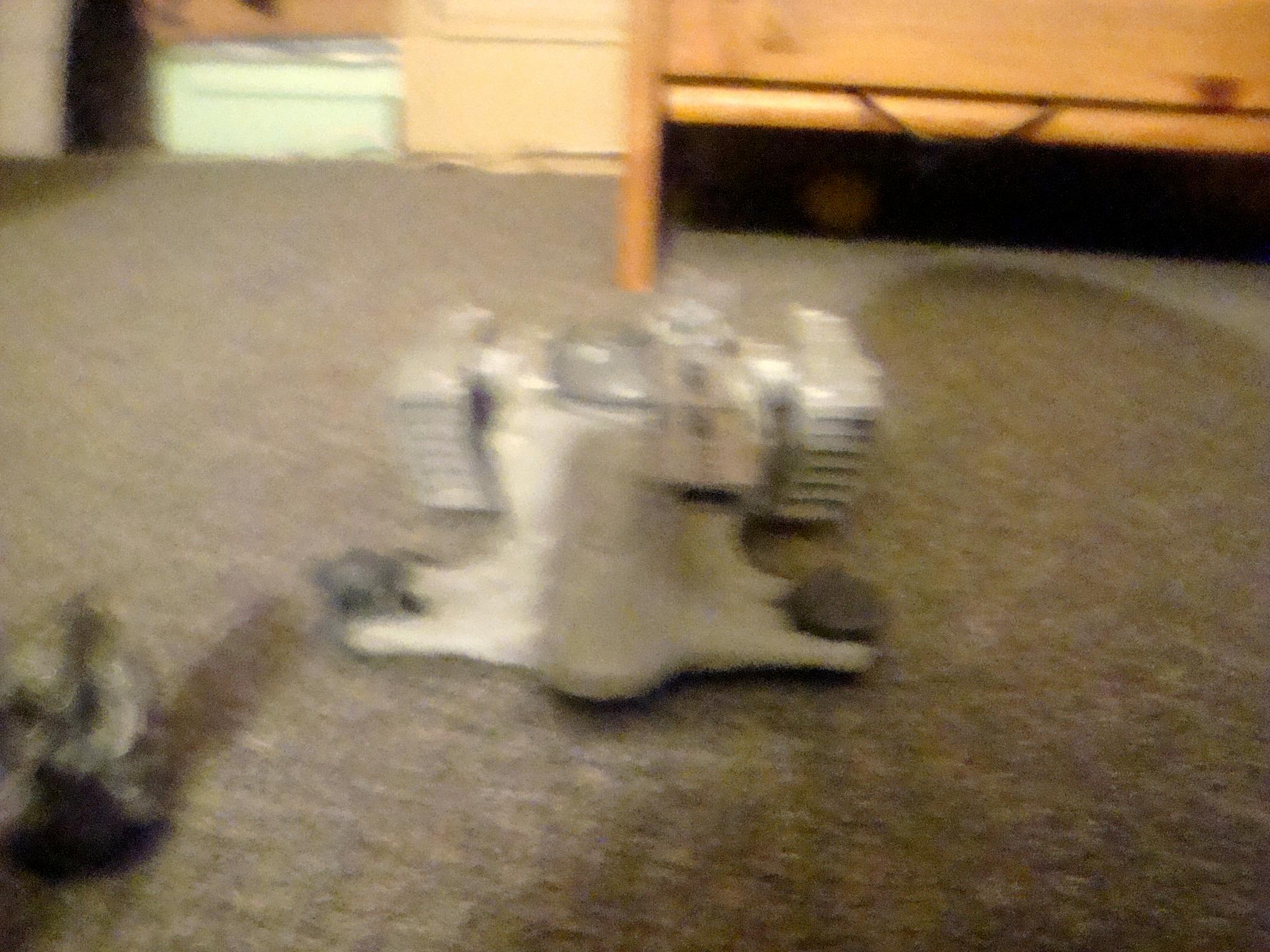 Blurred Photo
