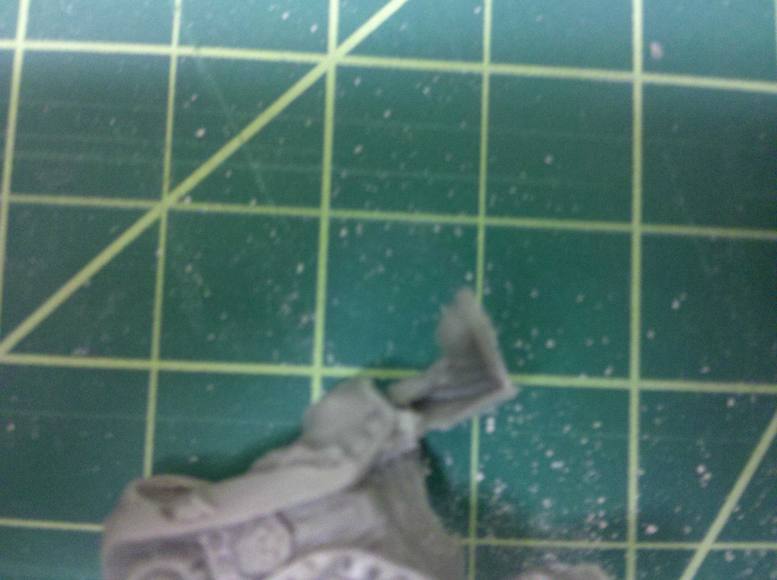 Blurred Photo, Wtf, defect in leg from mold most likely