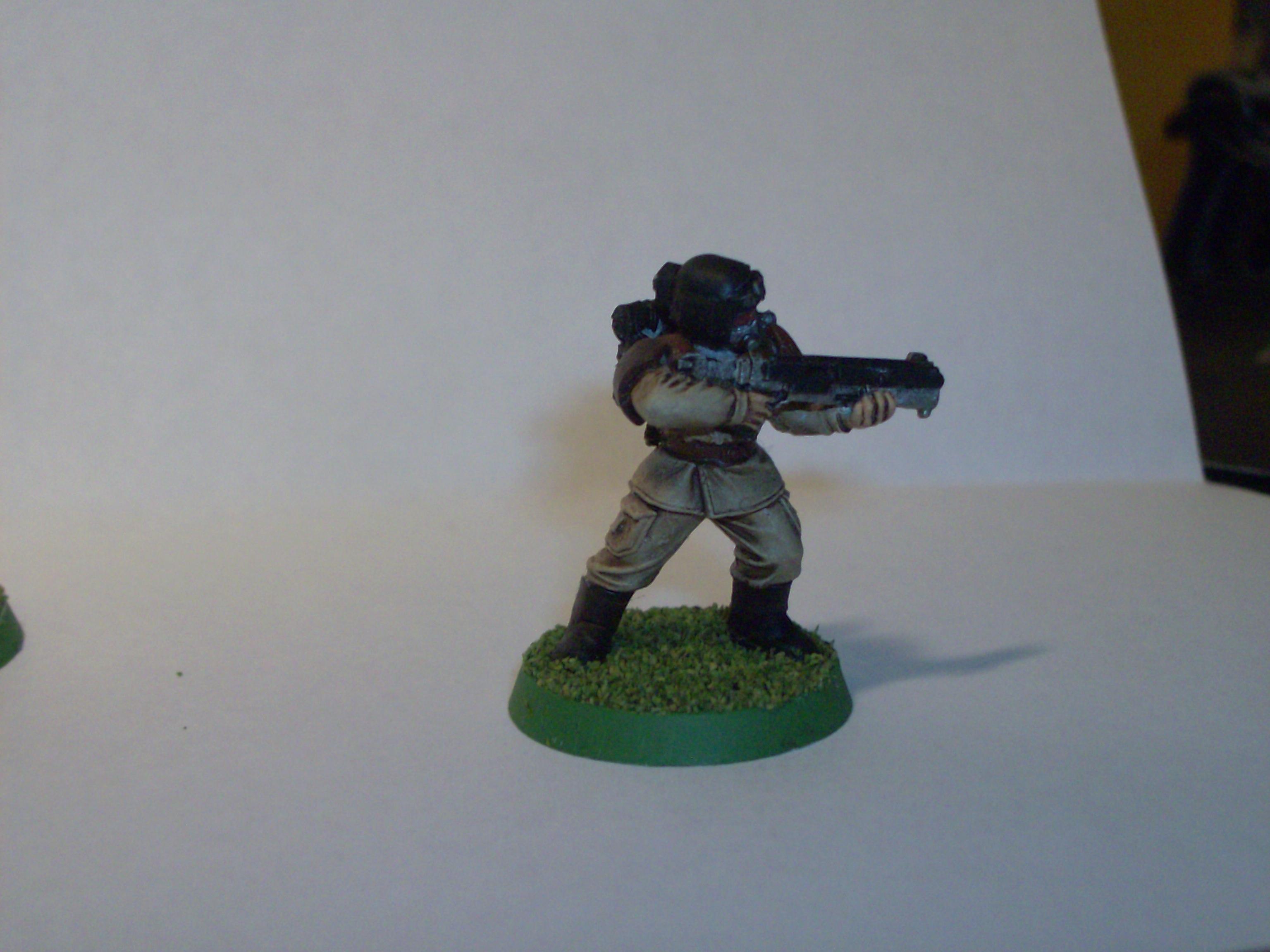 vets 2