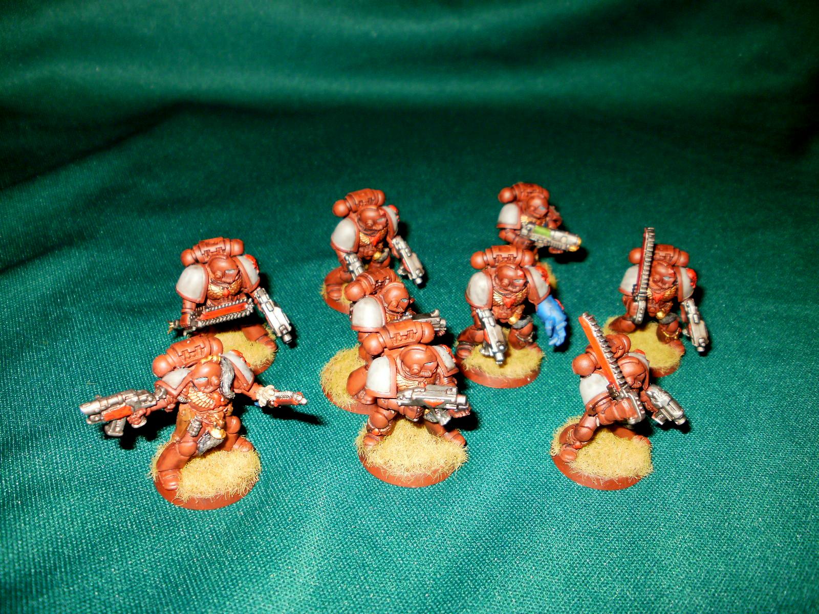 Space Marines, Grey Hunters - Squad Ace (rhino)