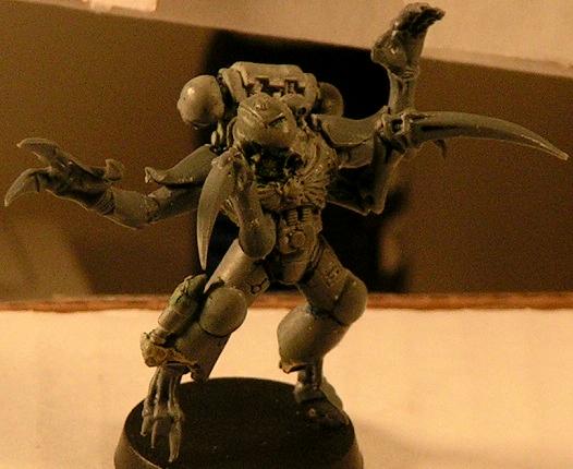 Space Marines, Tyranids, Warhammer 40,000