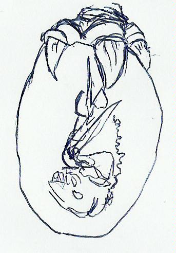 faetalgaunt