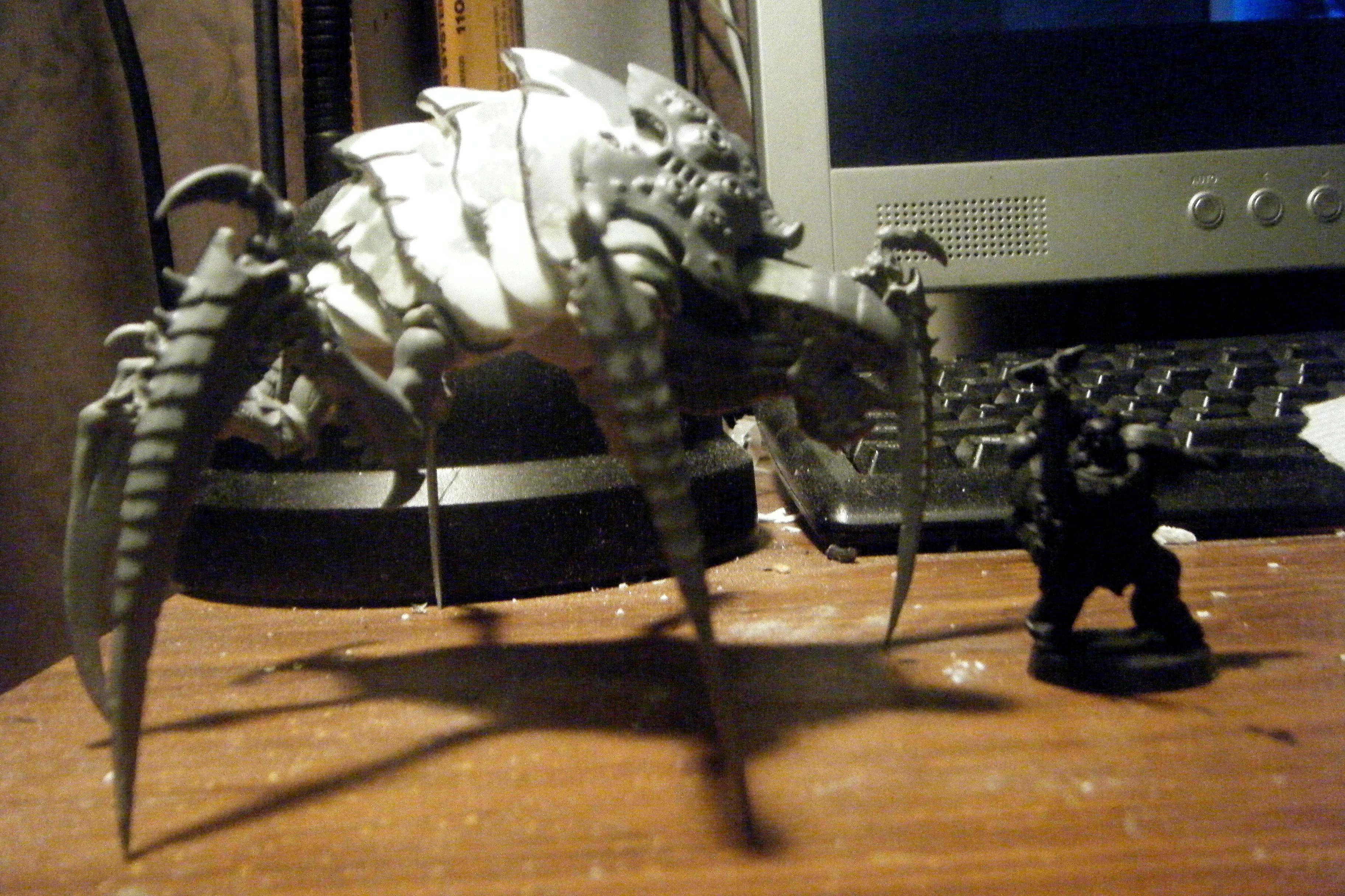 Tervigon, blackhandstervigon16