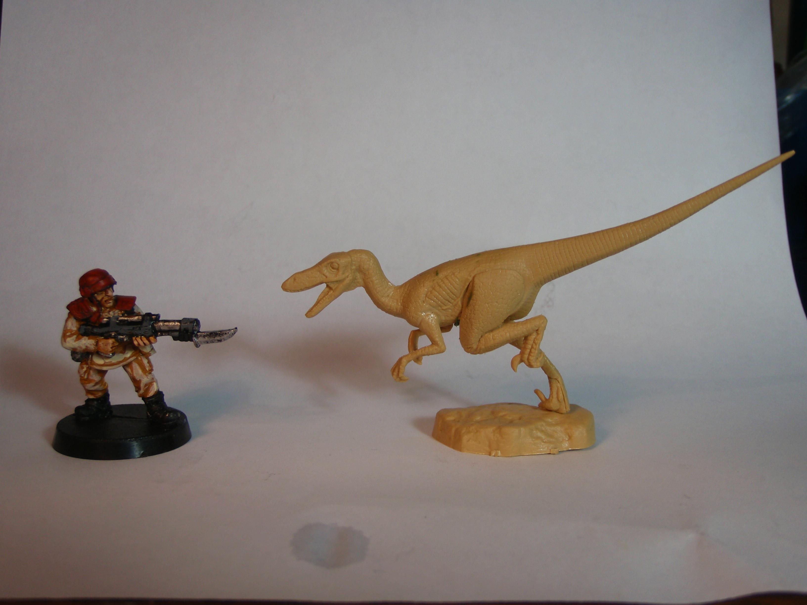 Dinosaur, Raptors, Tamiya