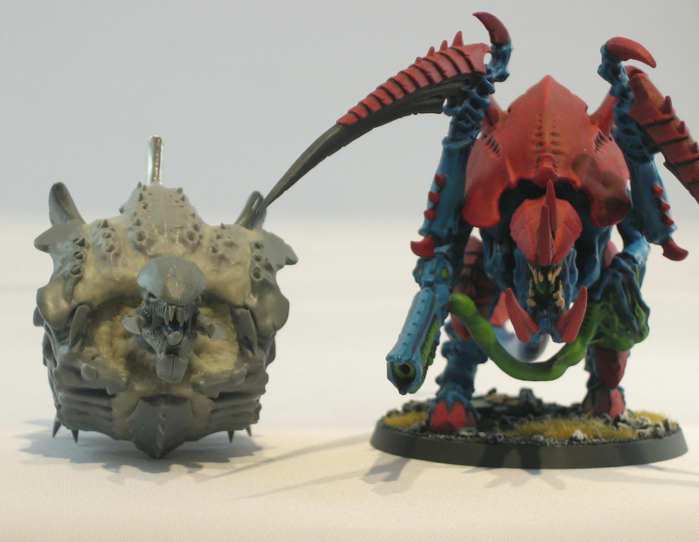 Tervigon Comparison