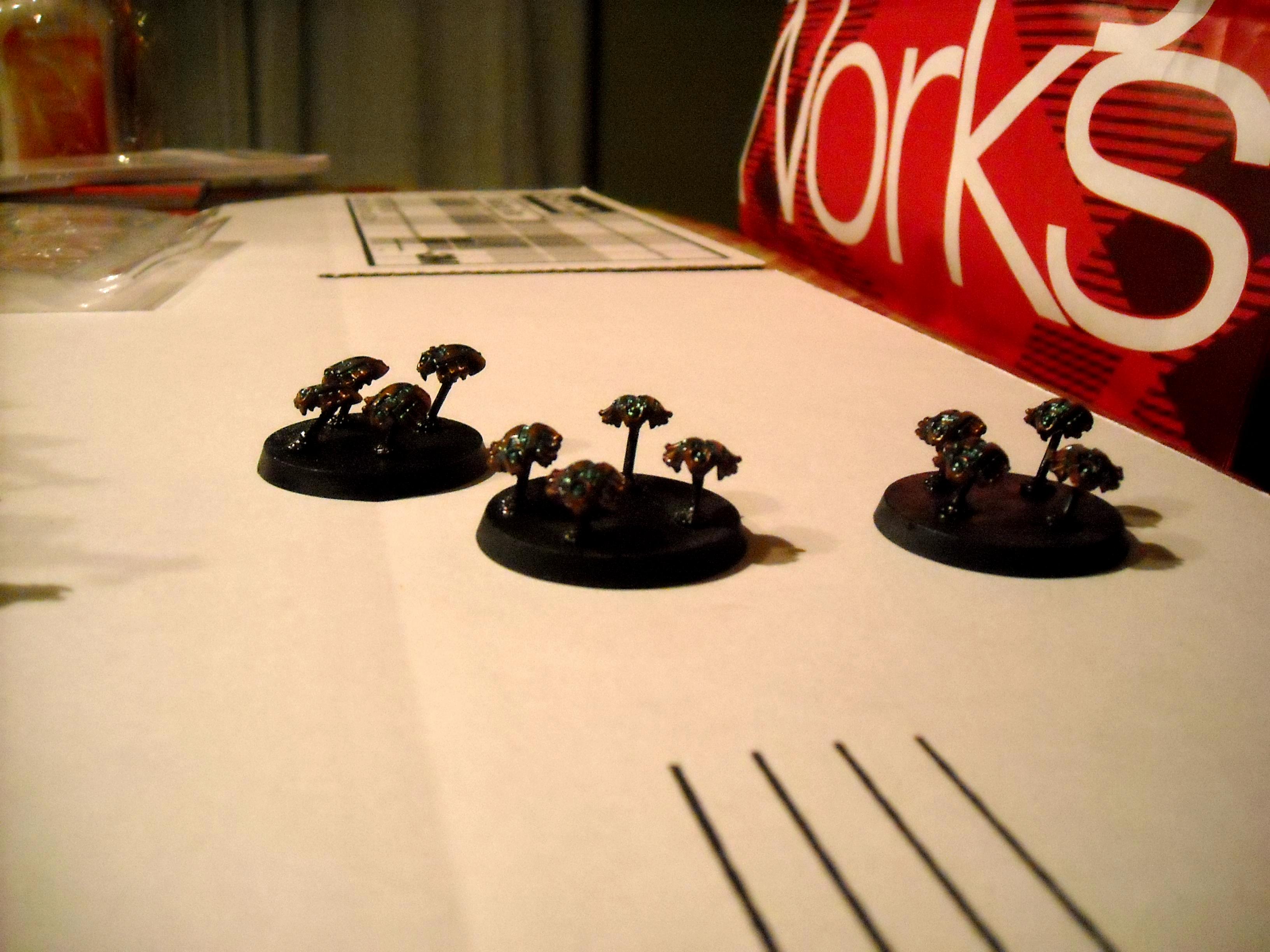 scarabs
