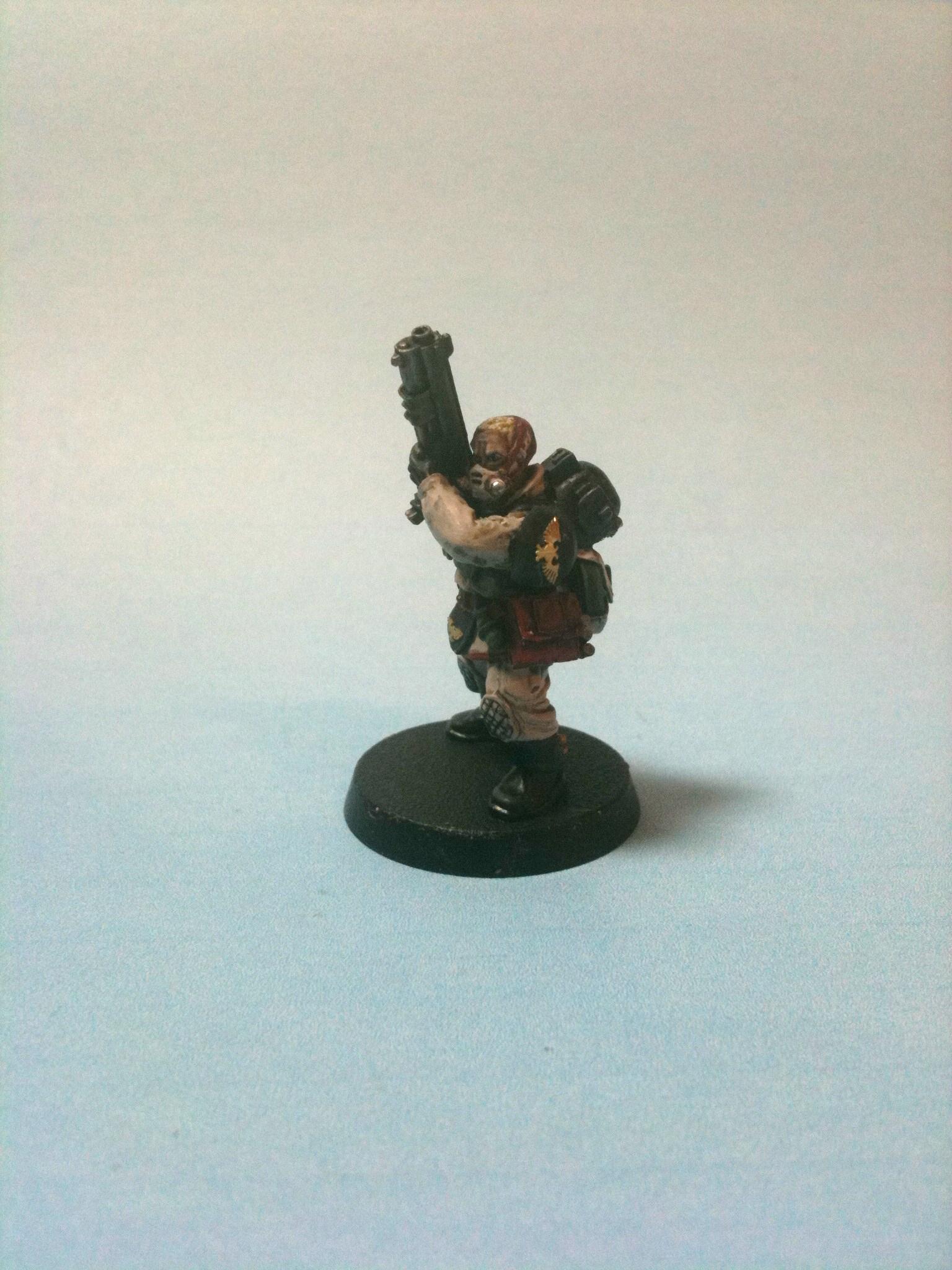 Demo Vet