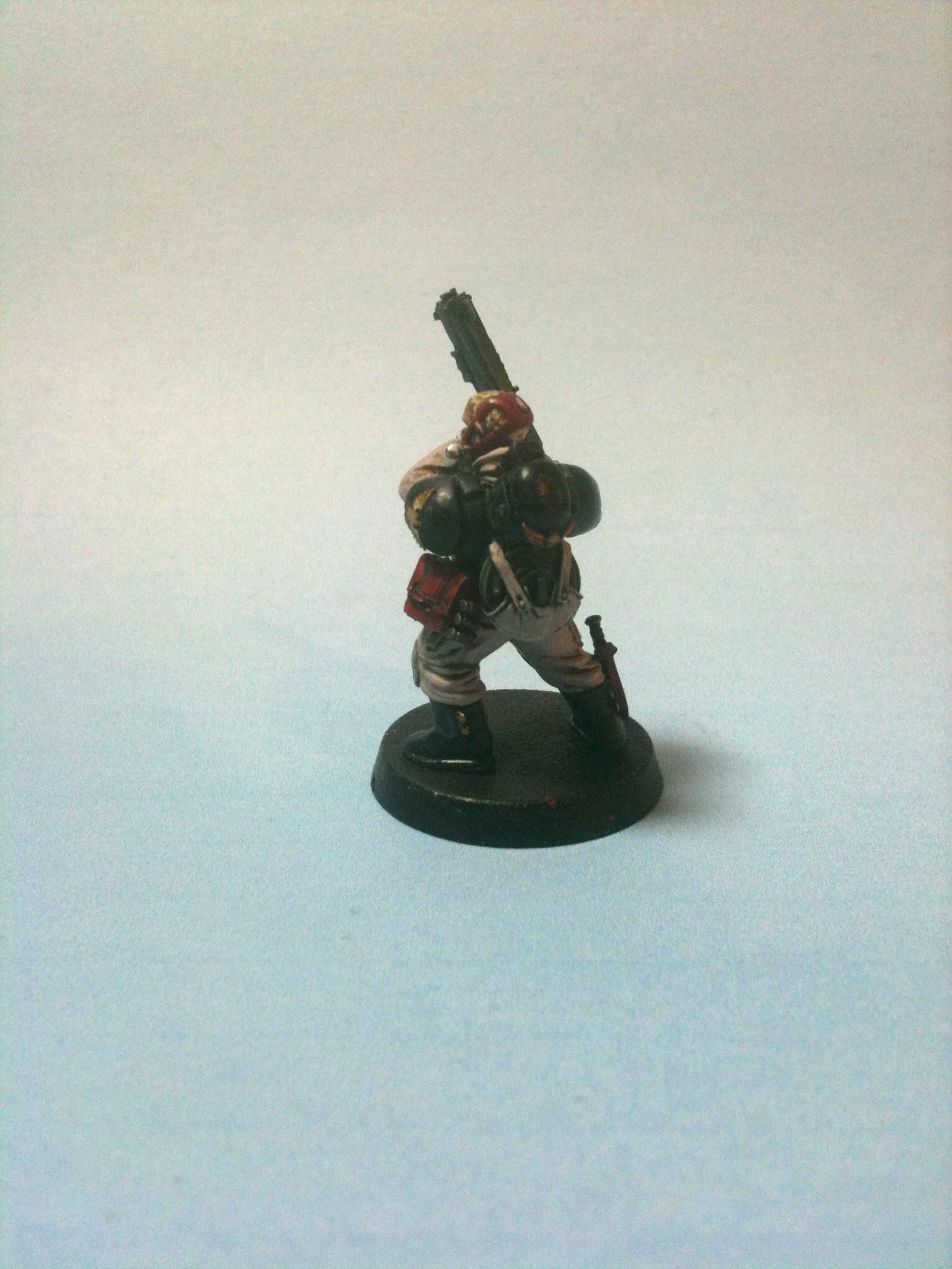Demo  Vet