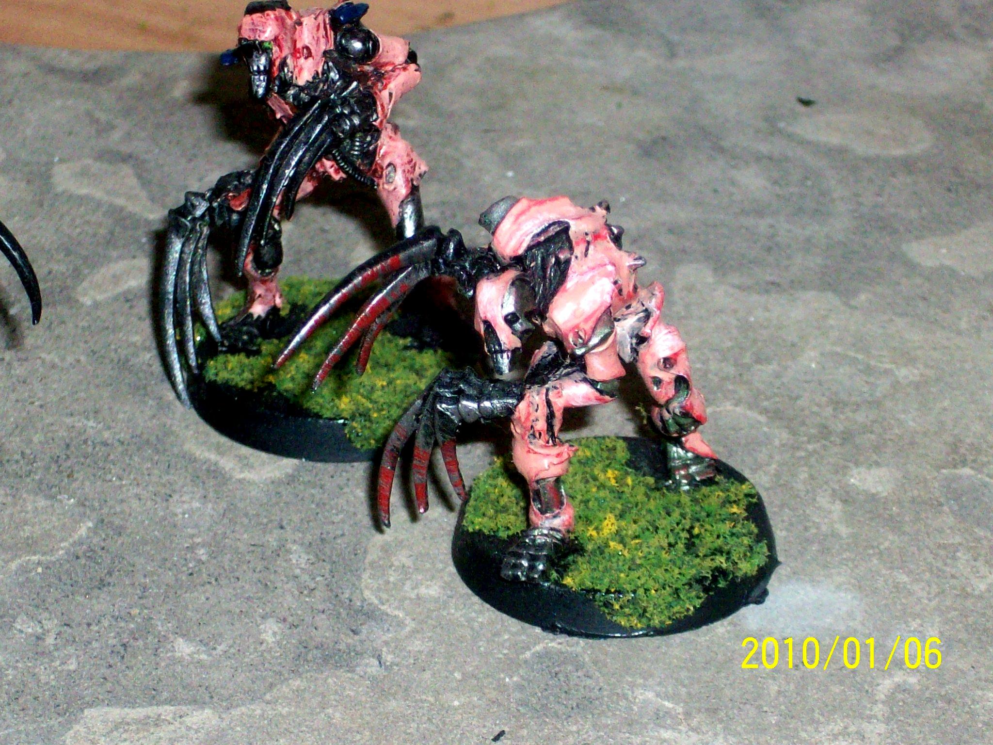 Necrons, flayed ones