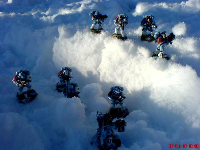 Arctic, Snow, Space Wolves