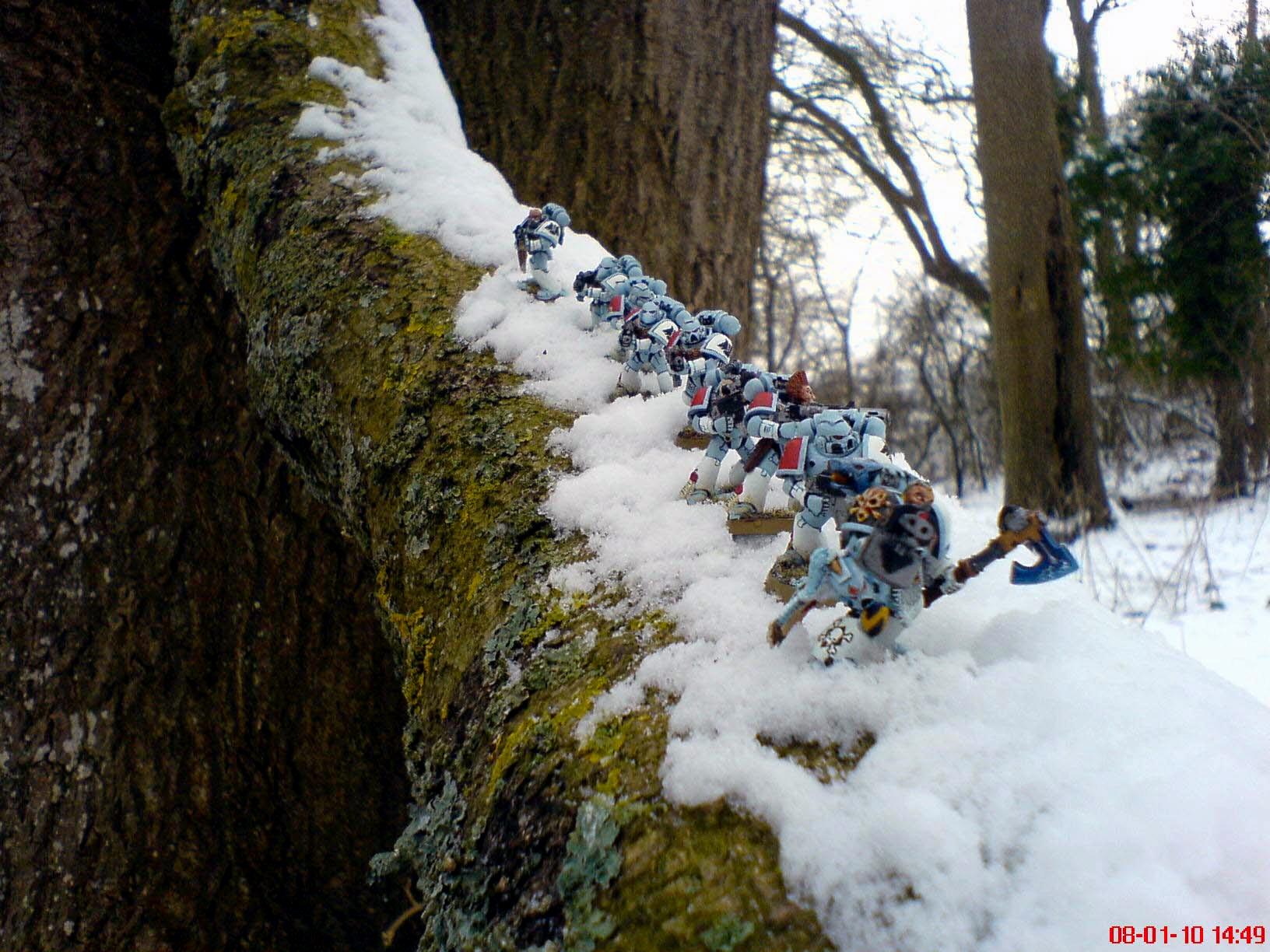 Snow, Space Wolves, Winter