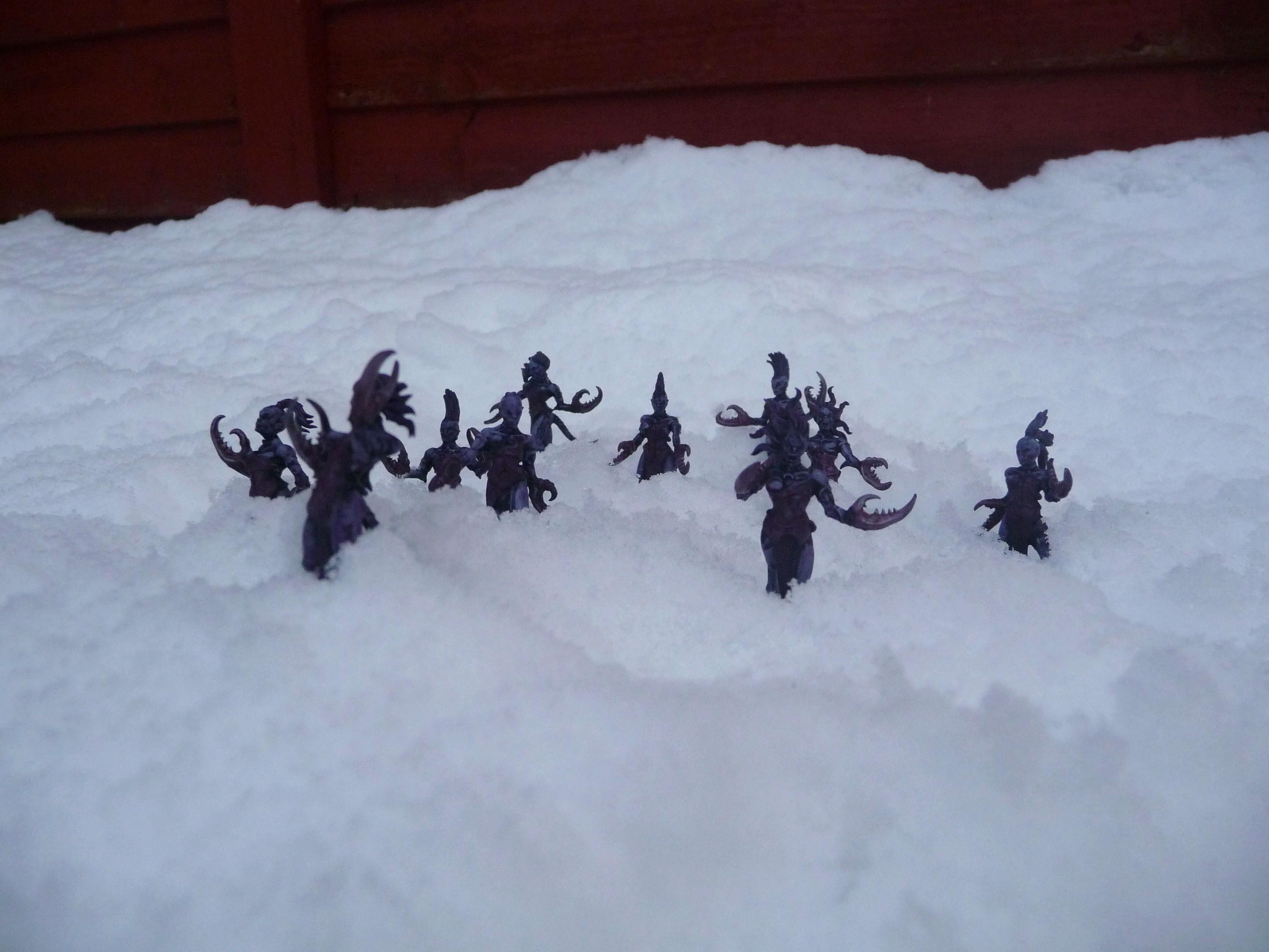 deamonettes in the snow