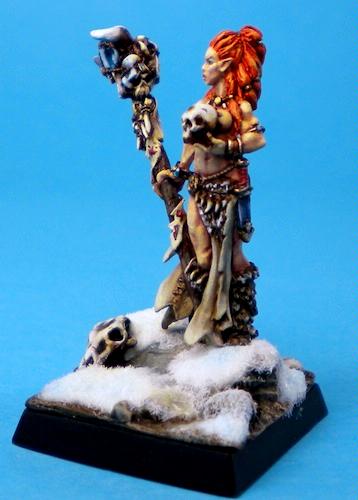 Alternate Model, Shaman, Warhammer Fantasy