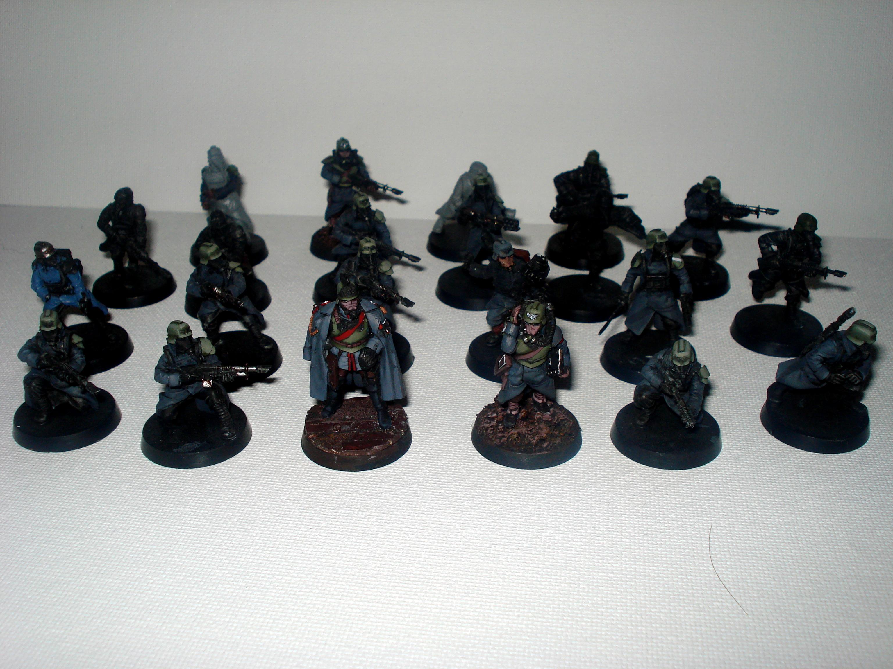 Korp