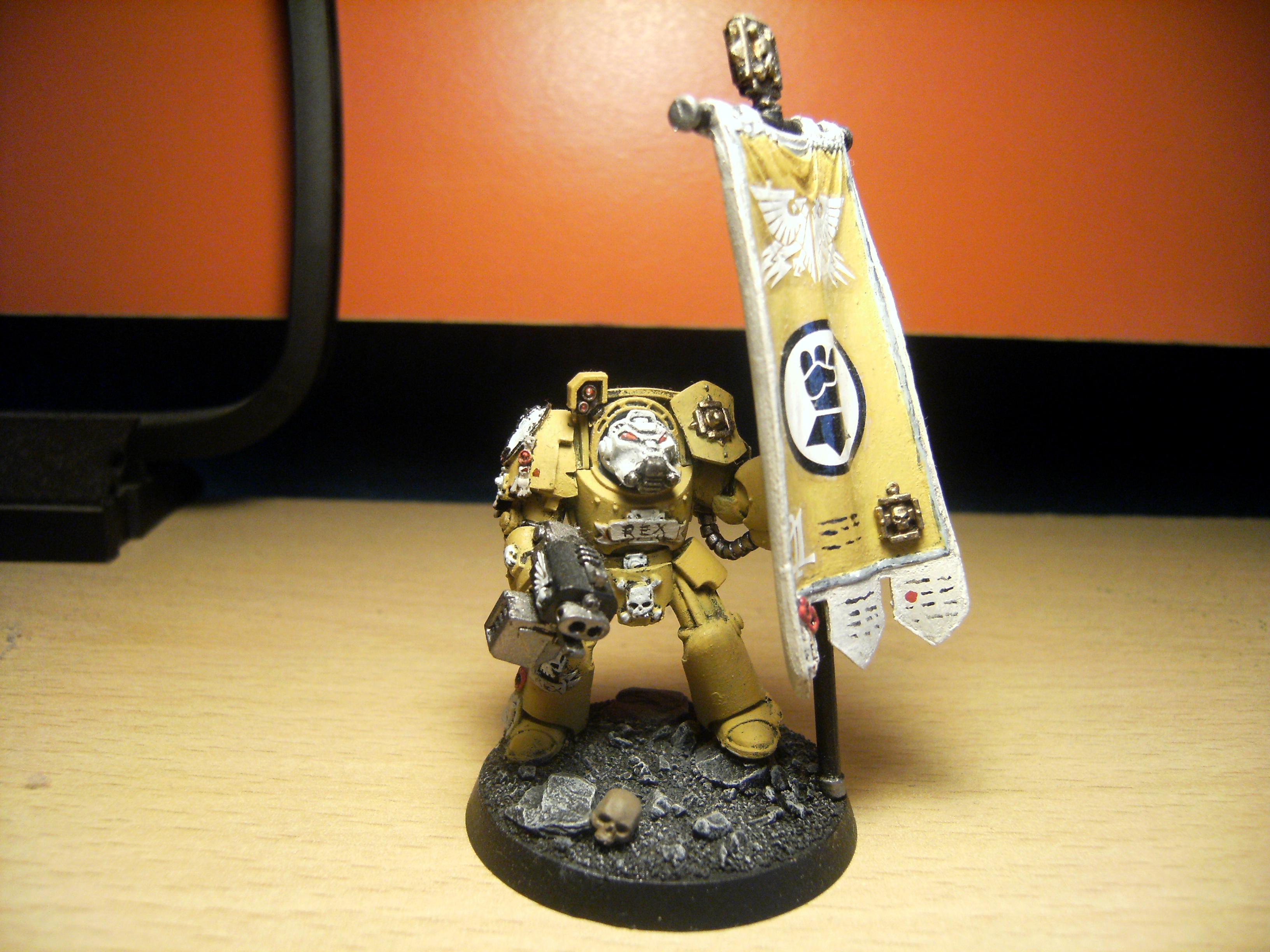 Imperial Fist Space Marines