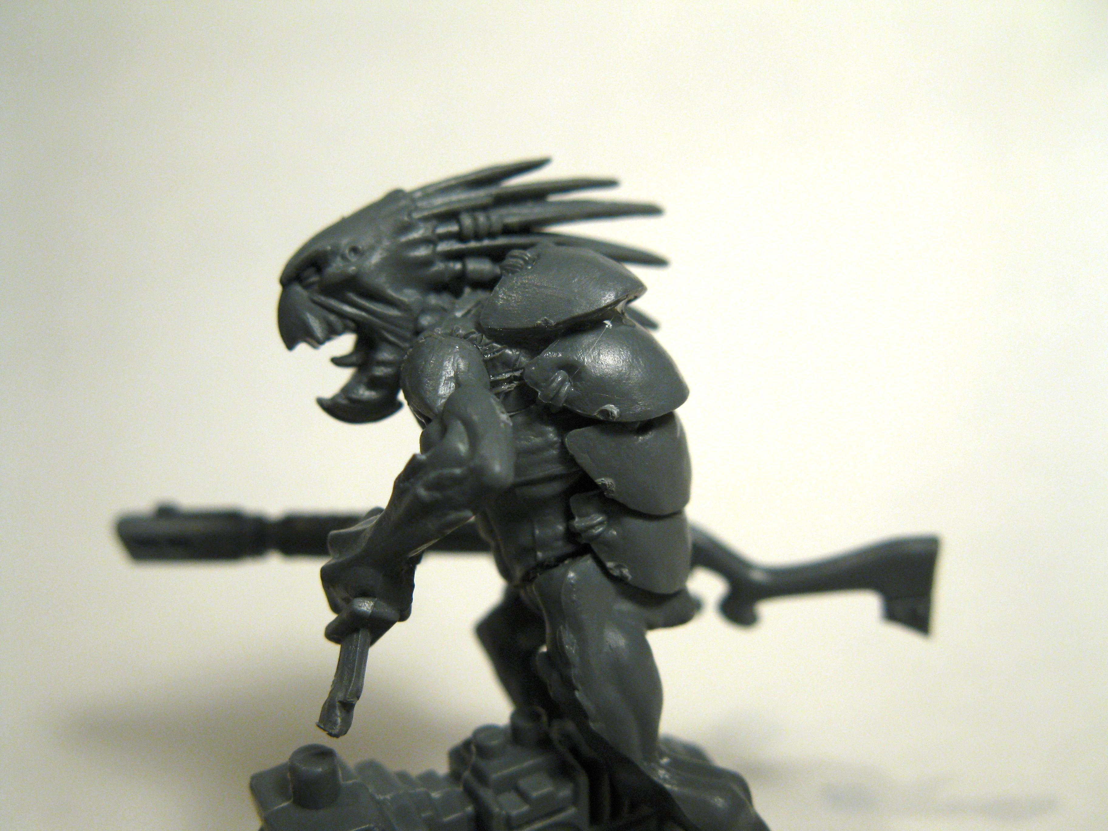 Kroot