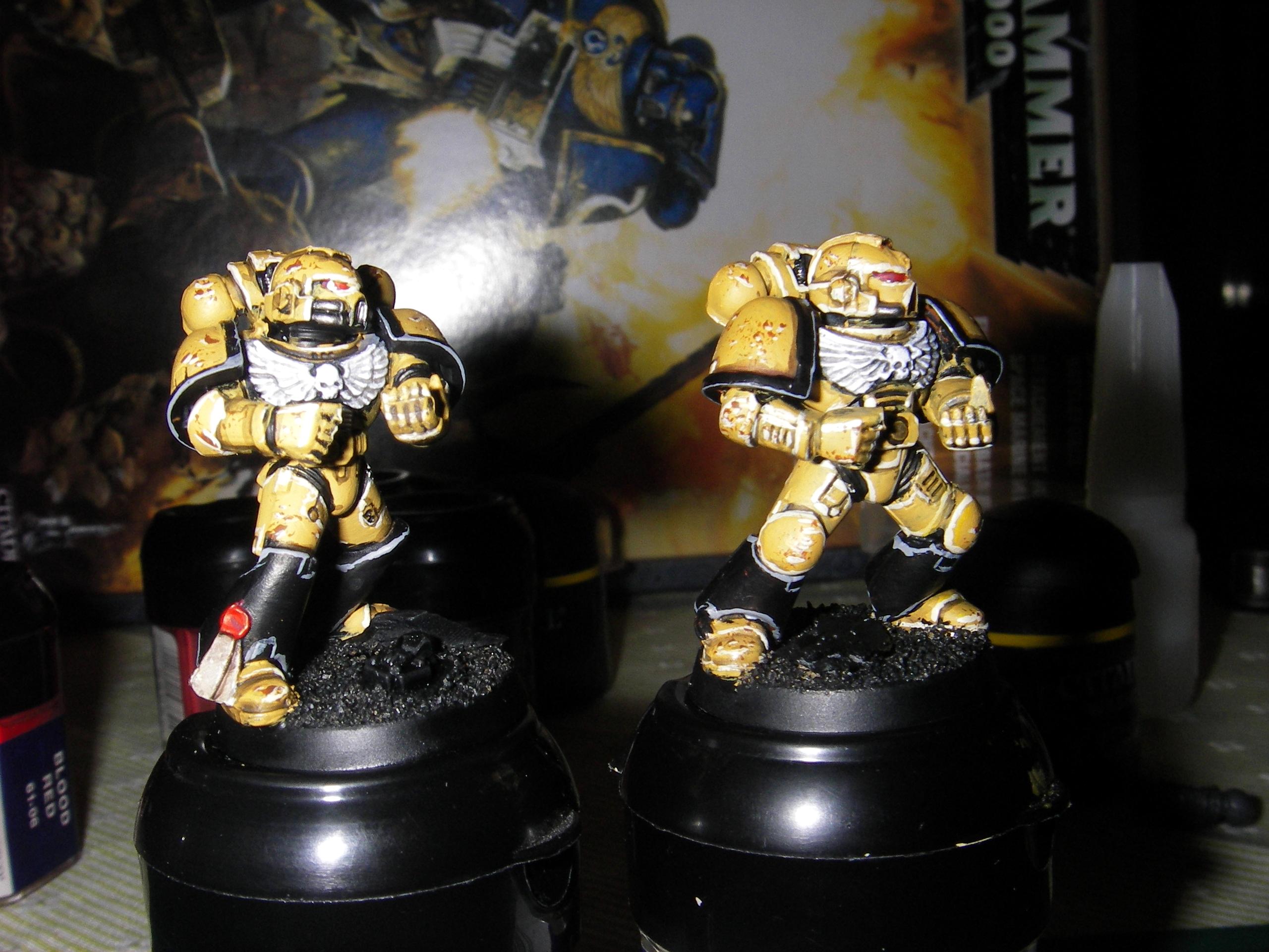 Diy Chapter, Lion, Space Marines