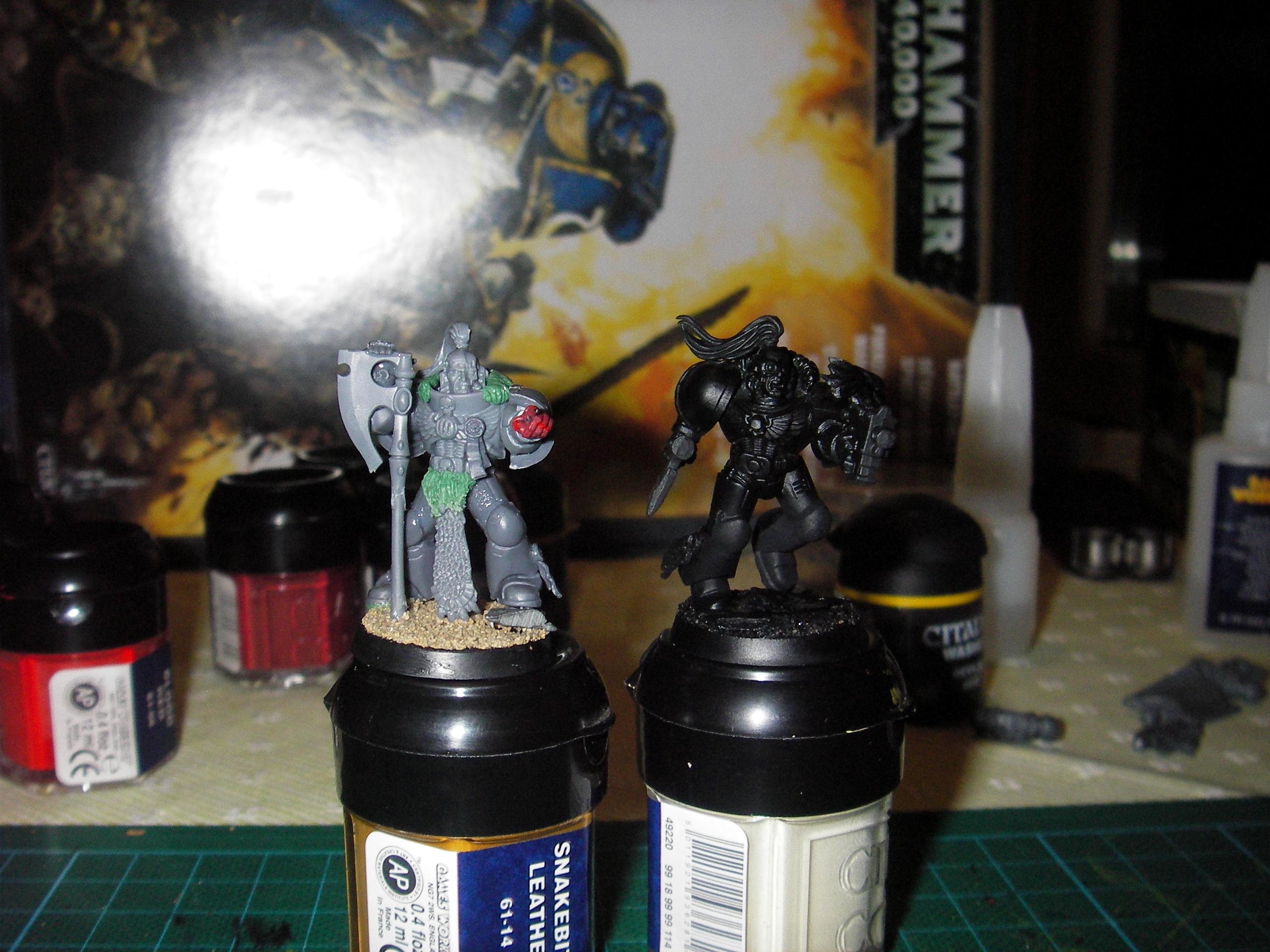 Diy Chapter, Lion, Space Marines