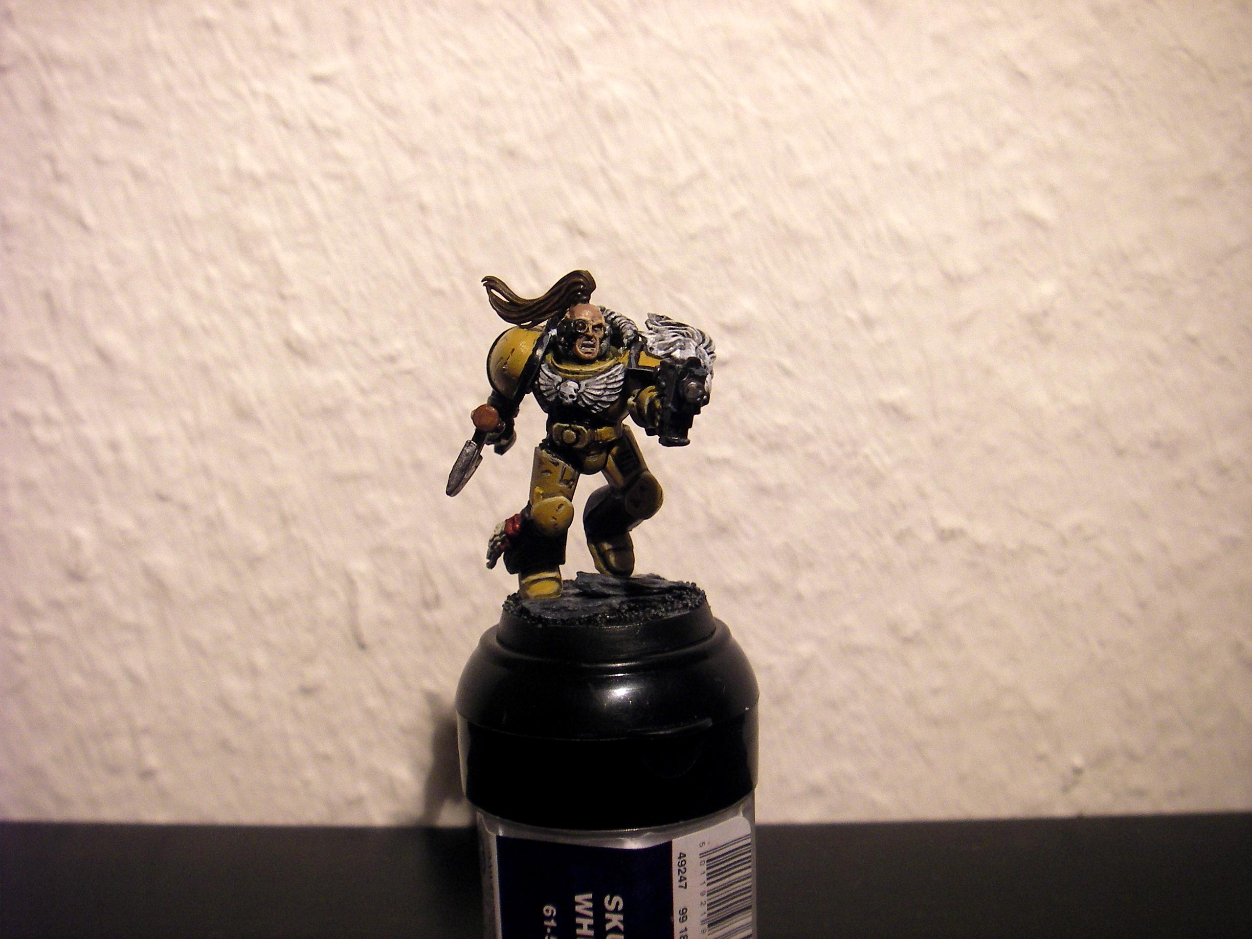 Diy Chapter, Lion, Space Marines