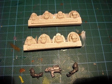 Lion, Scibor, Shoulderpads