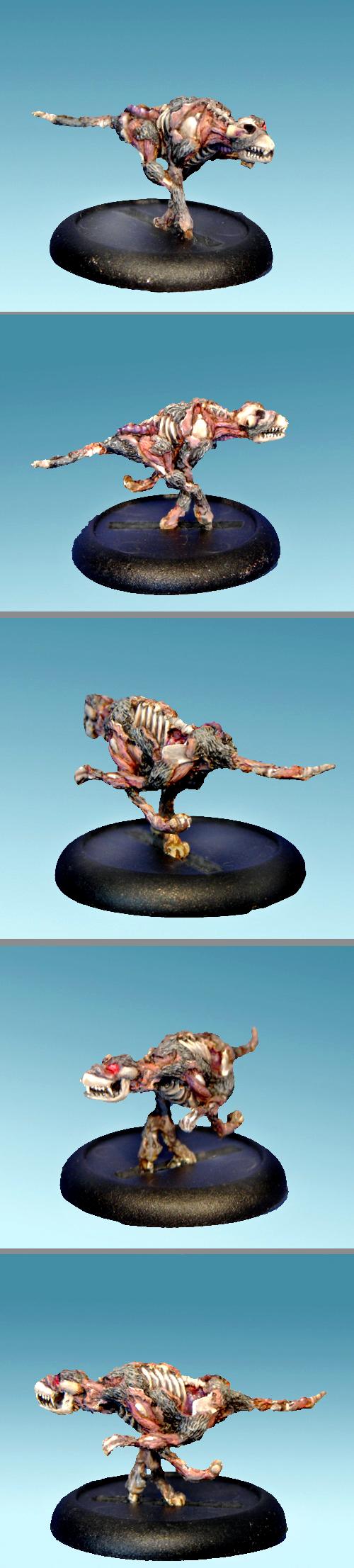 Armorcast, Dog, Undead, Zombie