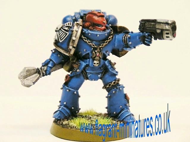 Space Marines, Veteran
